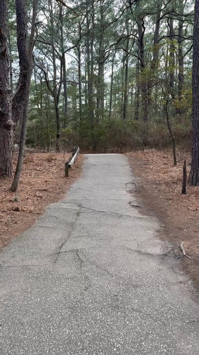 Cape Henry Trail - Mountain Biking Near Me