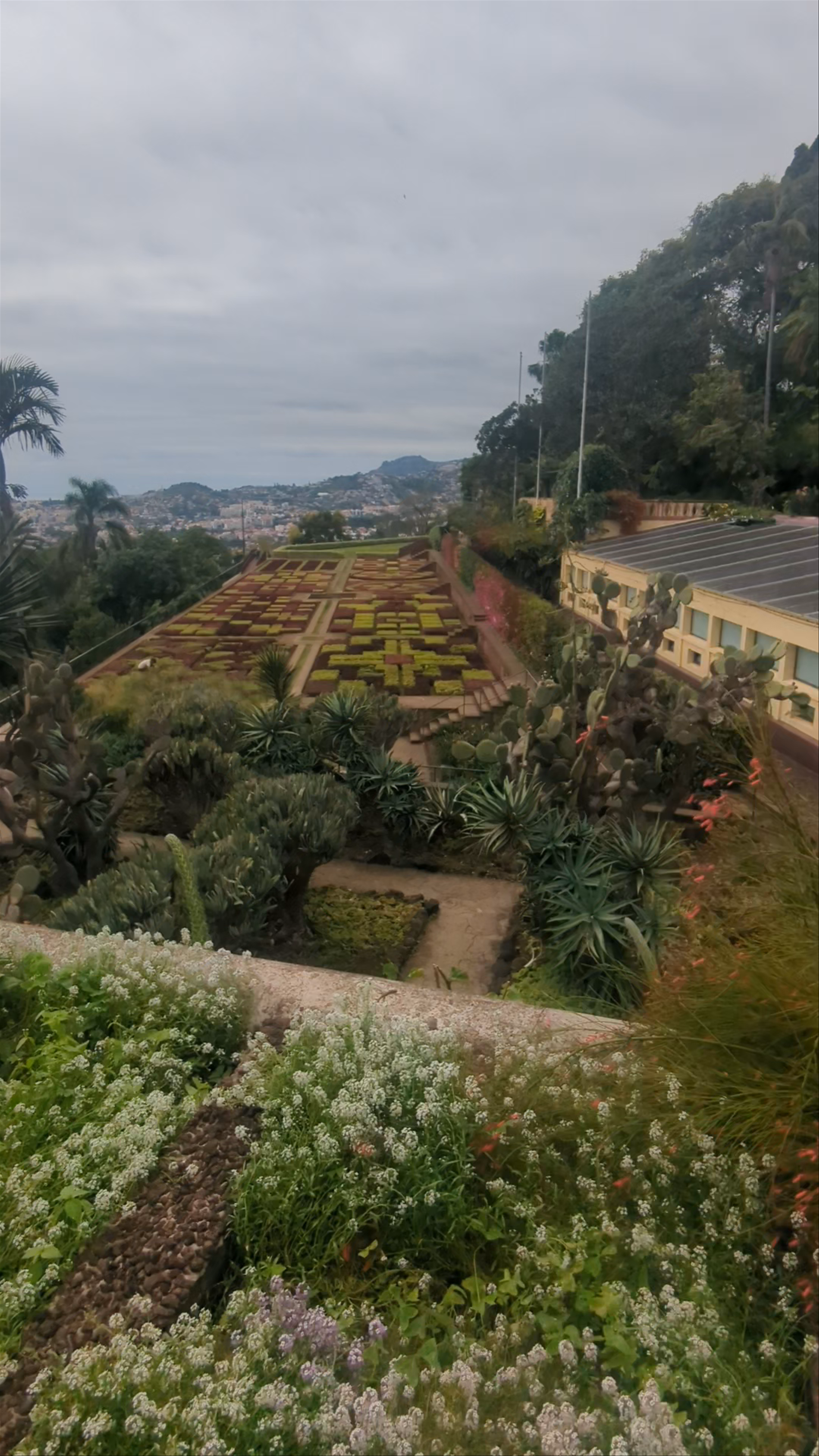 Madeira Botanical Garden