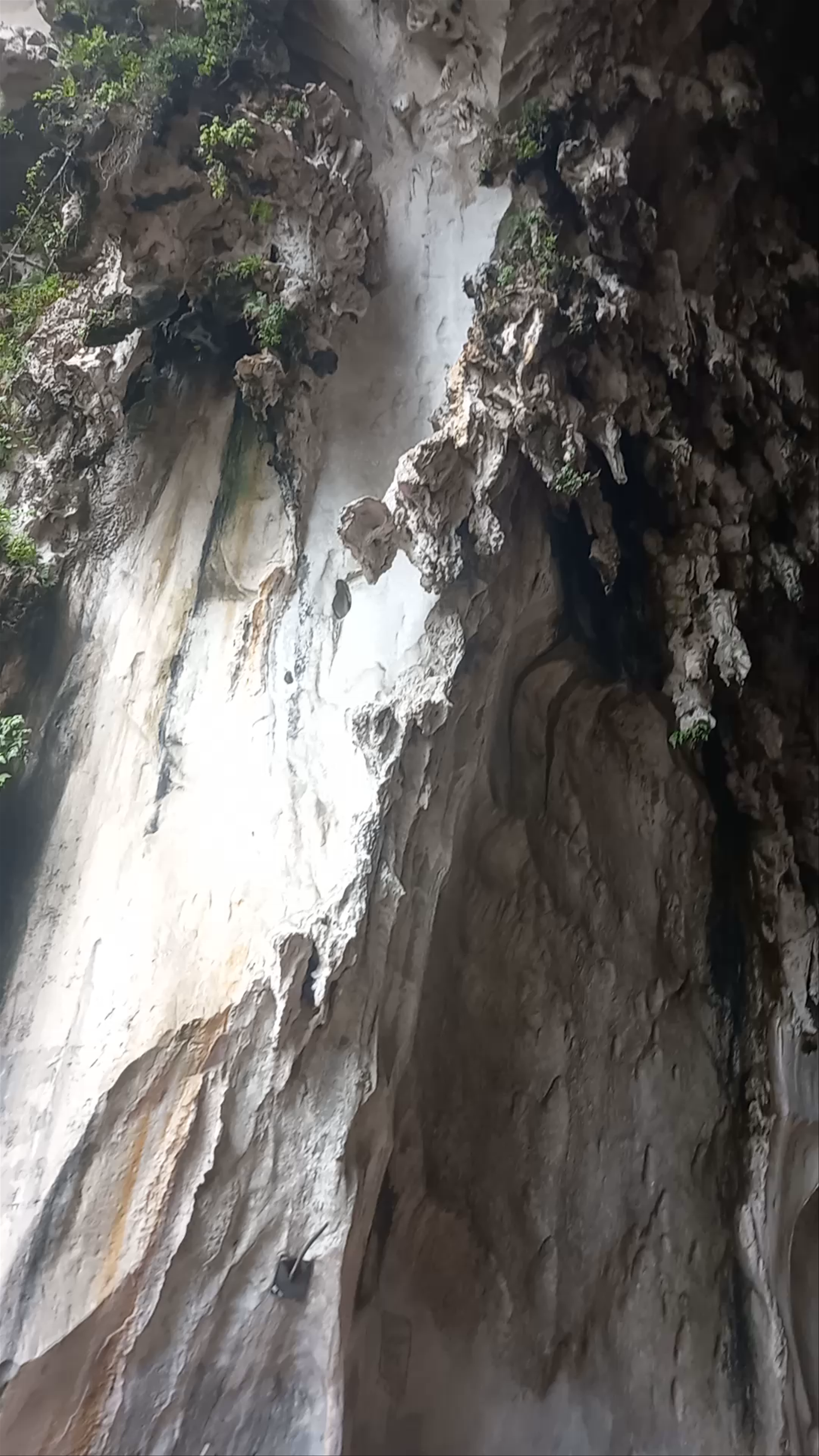 Dark Cave Conservation Site