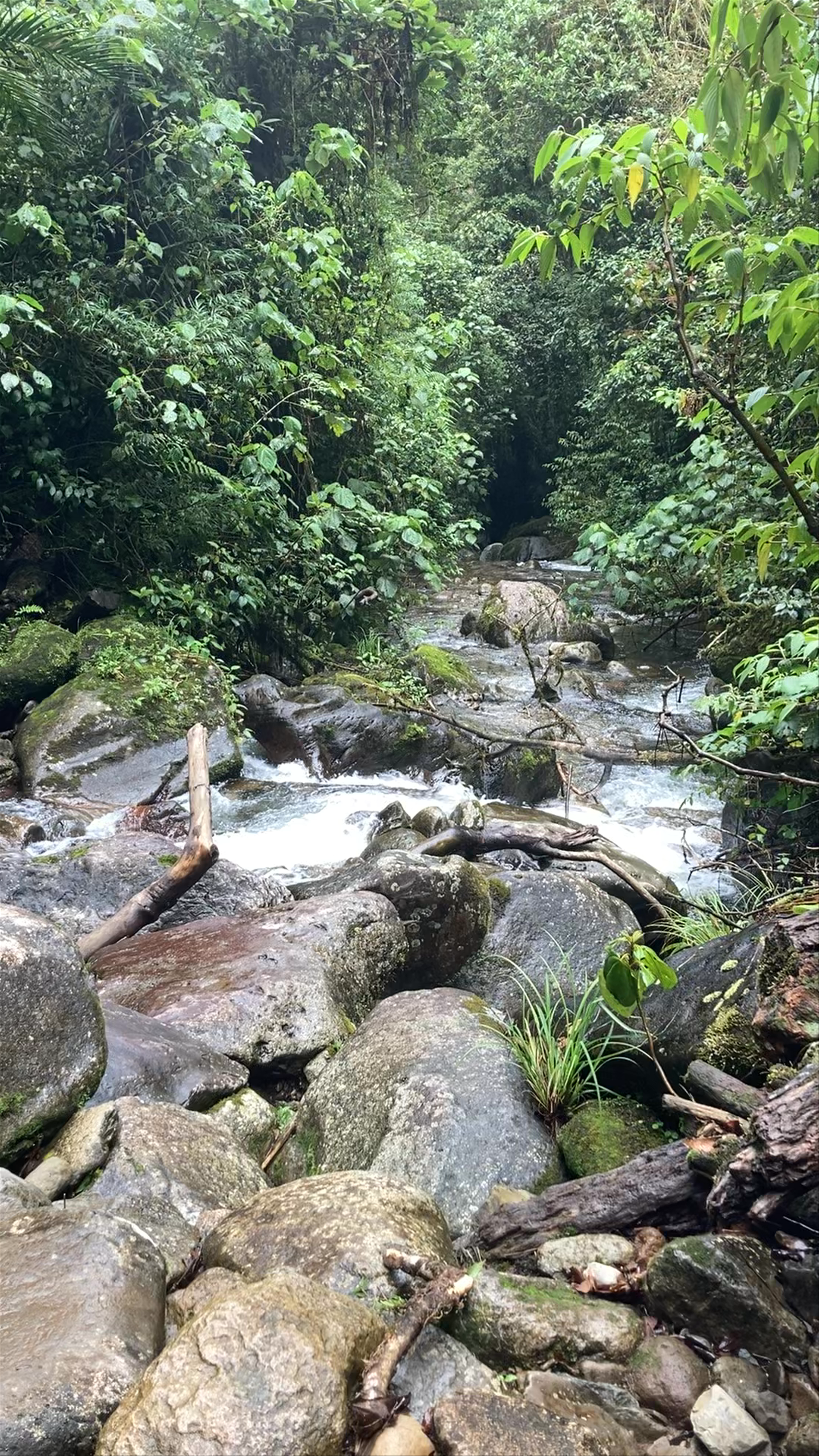 The Lost Waterfalls / Las Tres Cascadas