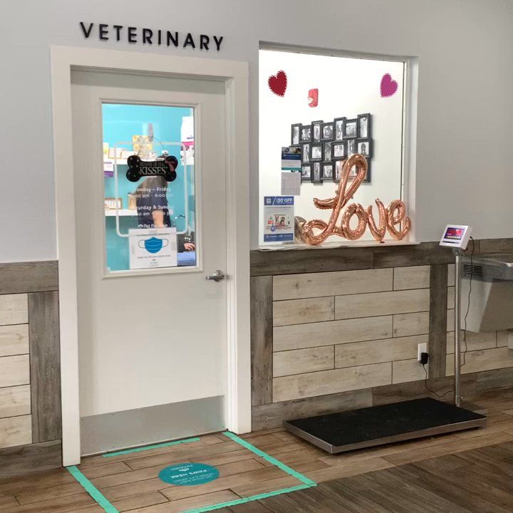 Pet Paradise Gainesville - Such a cute spot! The VIP room was almost as cute as the curious guest staying there! - Pet Groomers Near Me - Newberry, Florida