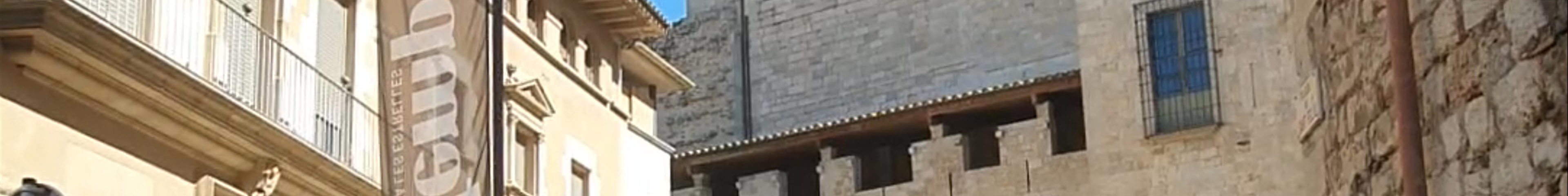Tours & experiences in Girona