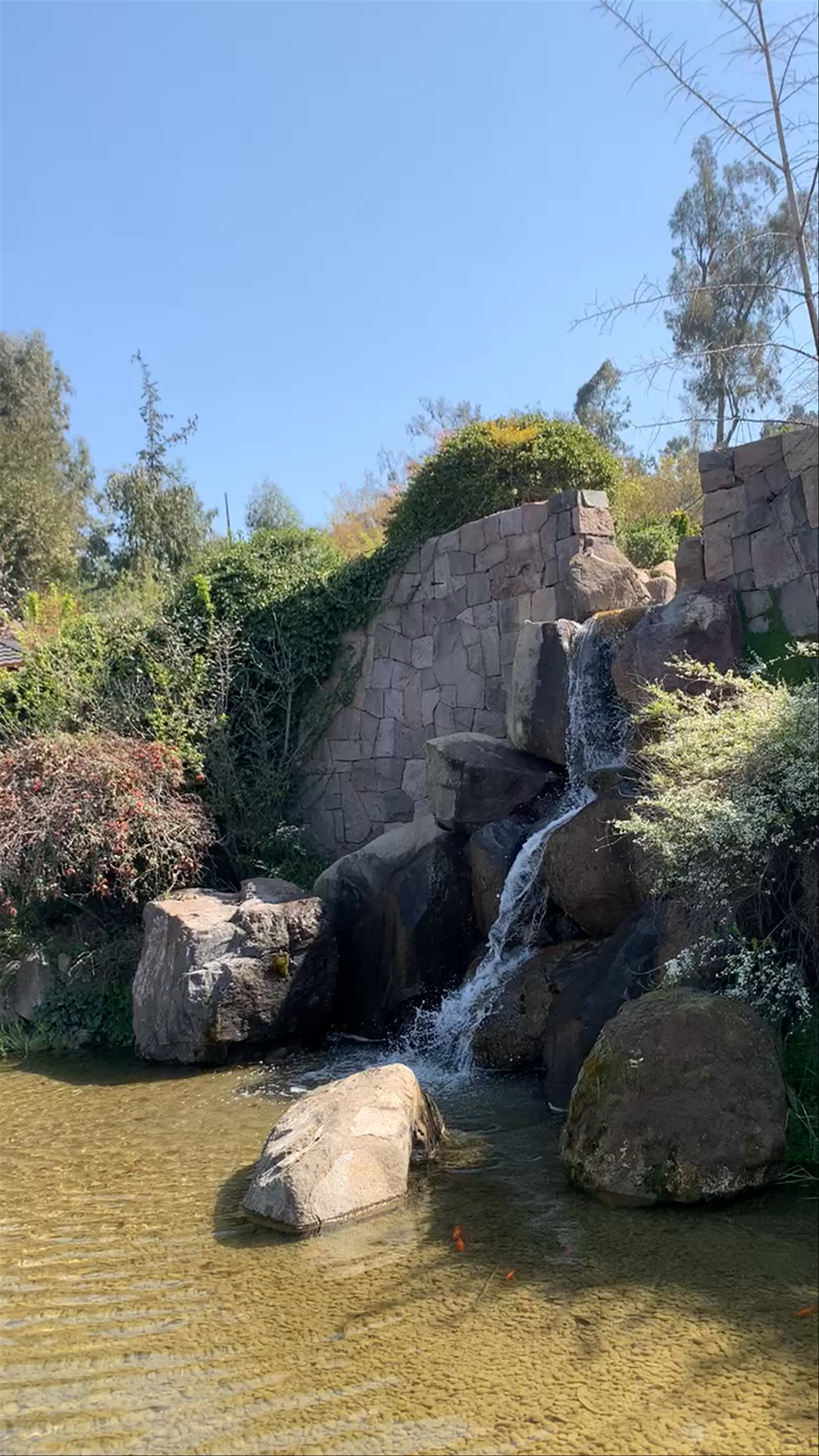 Parque Metropolitano de Santiago - Pío Nono