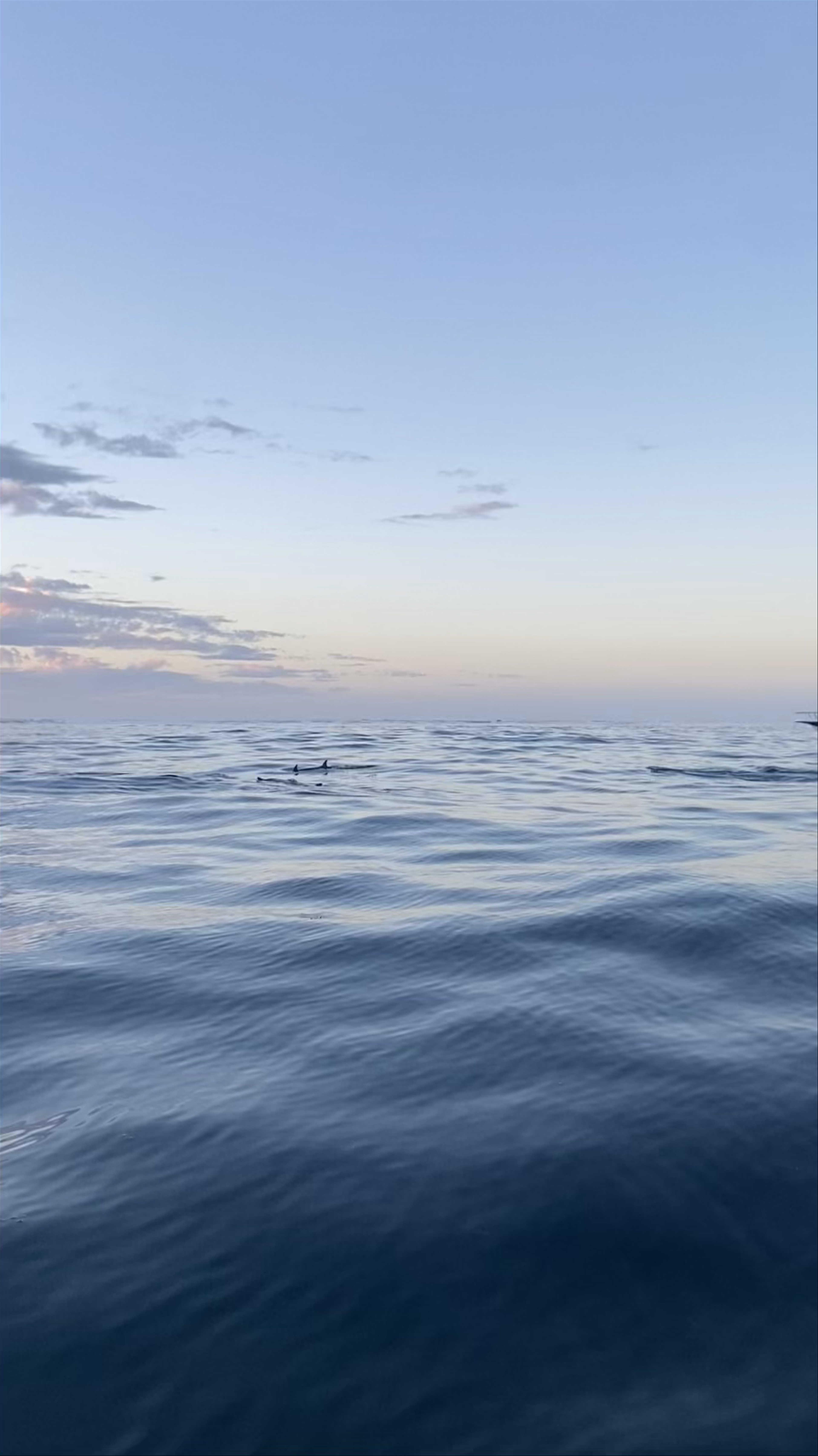 Vitamin Sea™ - Your ocean guide & photographer in Mauritius