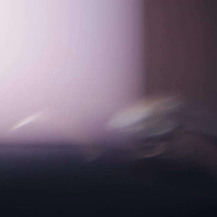 Noble Visual - Videographers Near Me