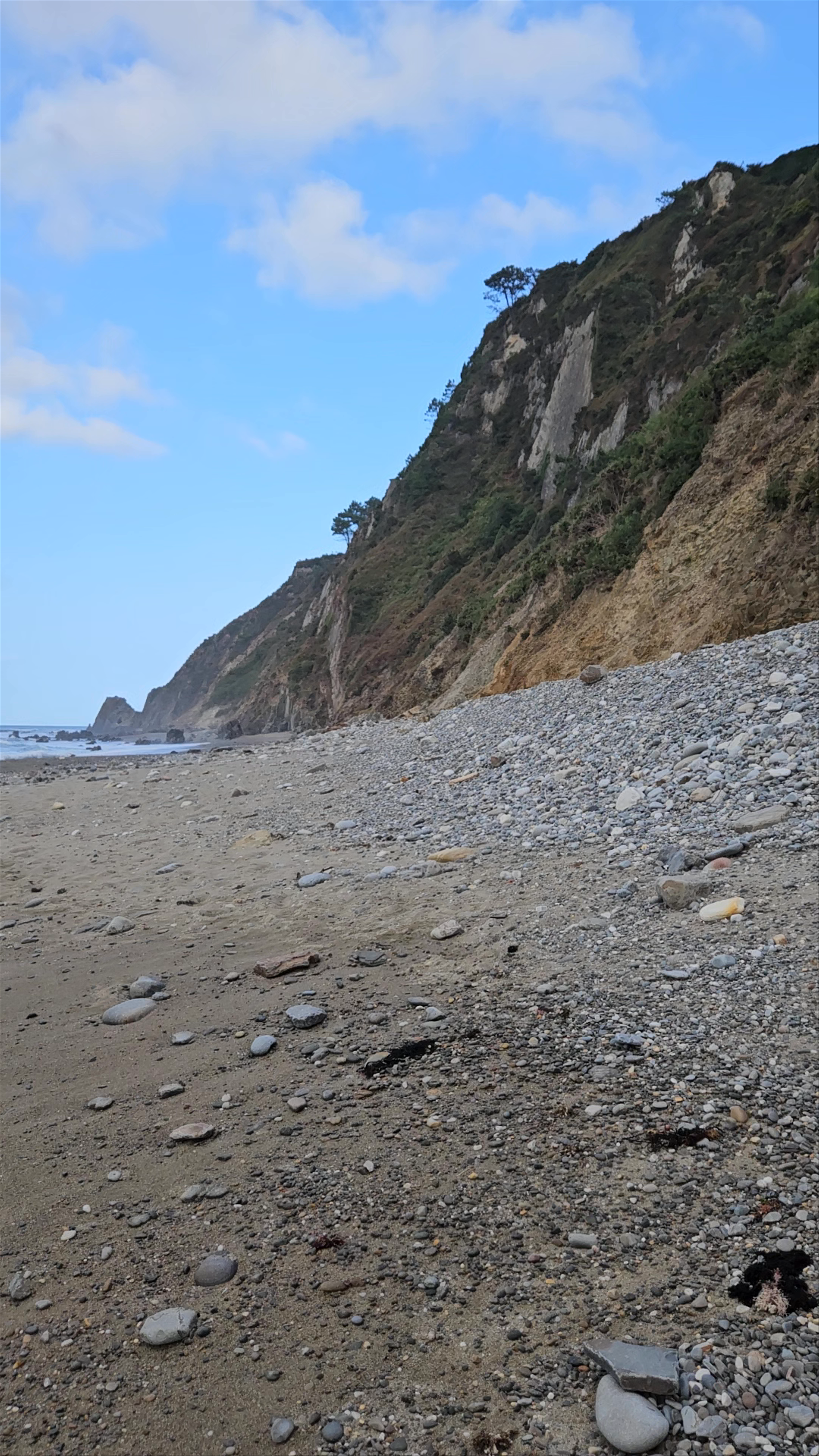 Playa de Ballota