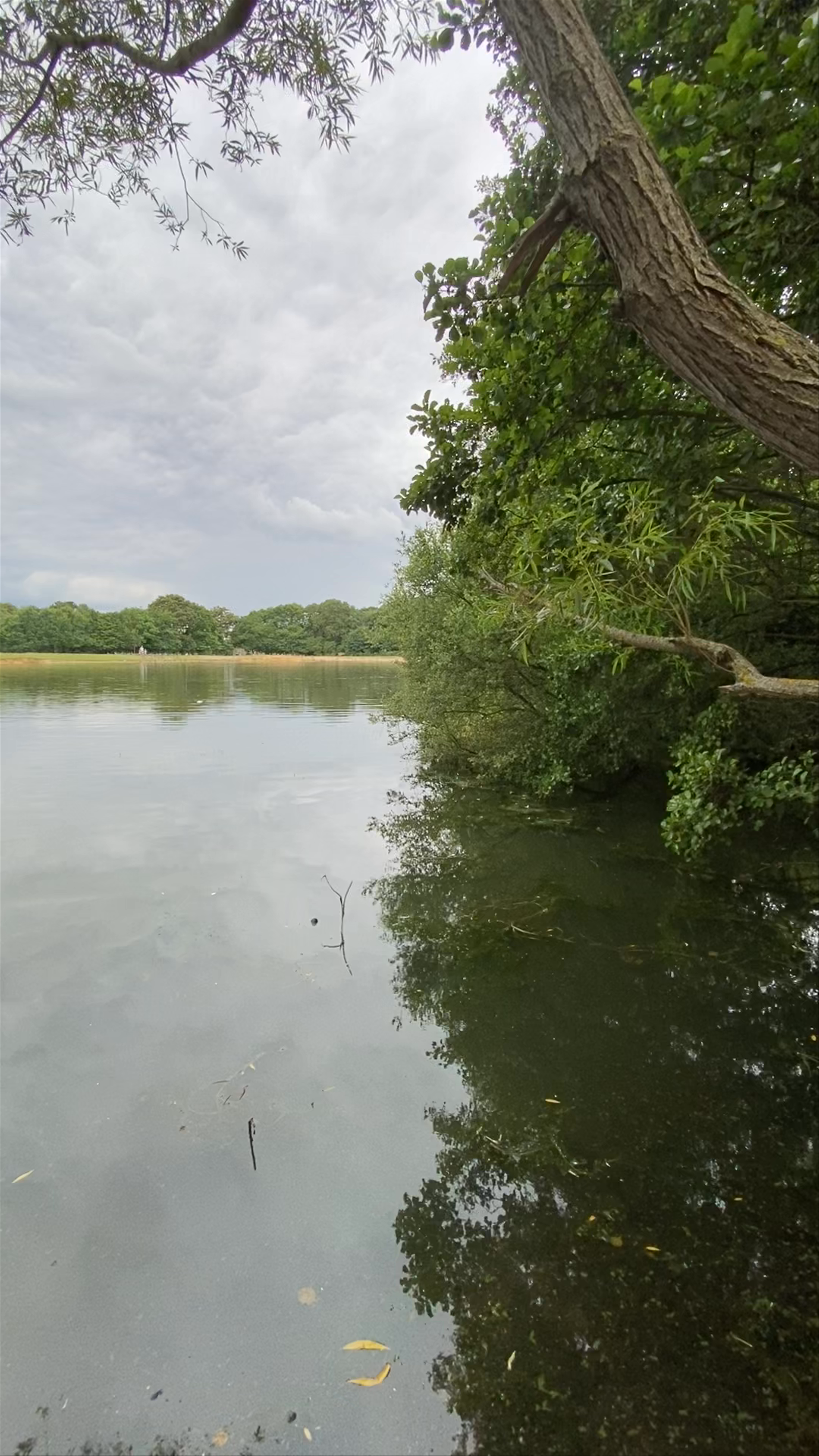 Belhus Woods Country Park Walk