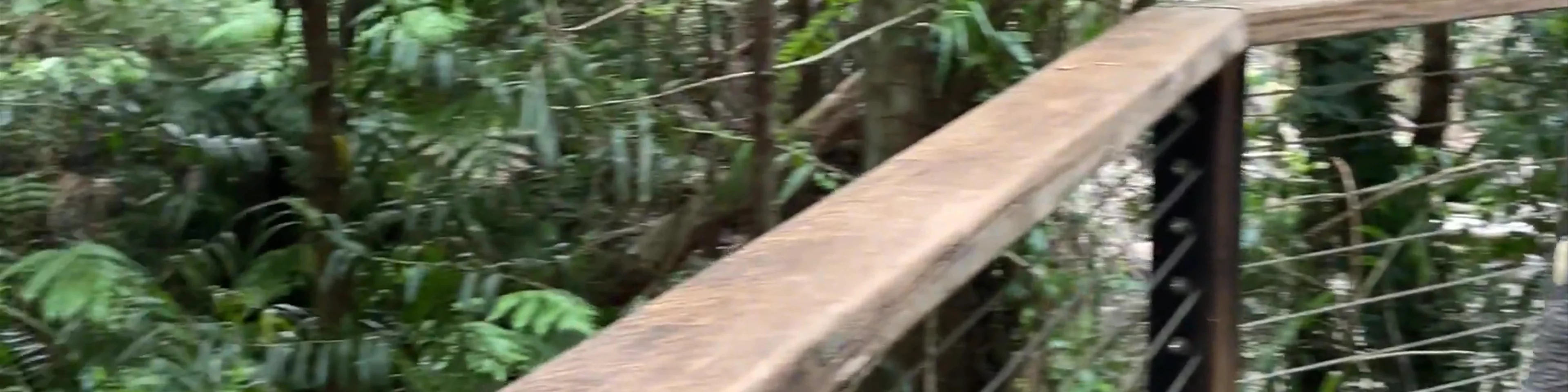 Wanggoolba Creek