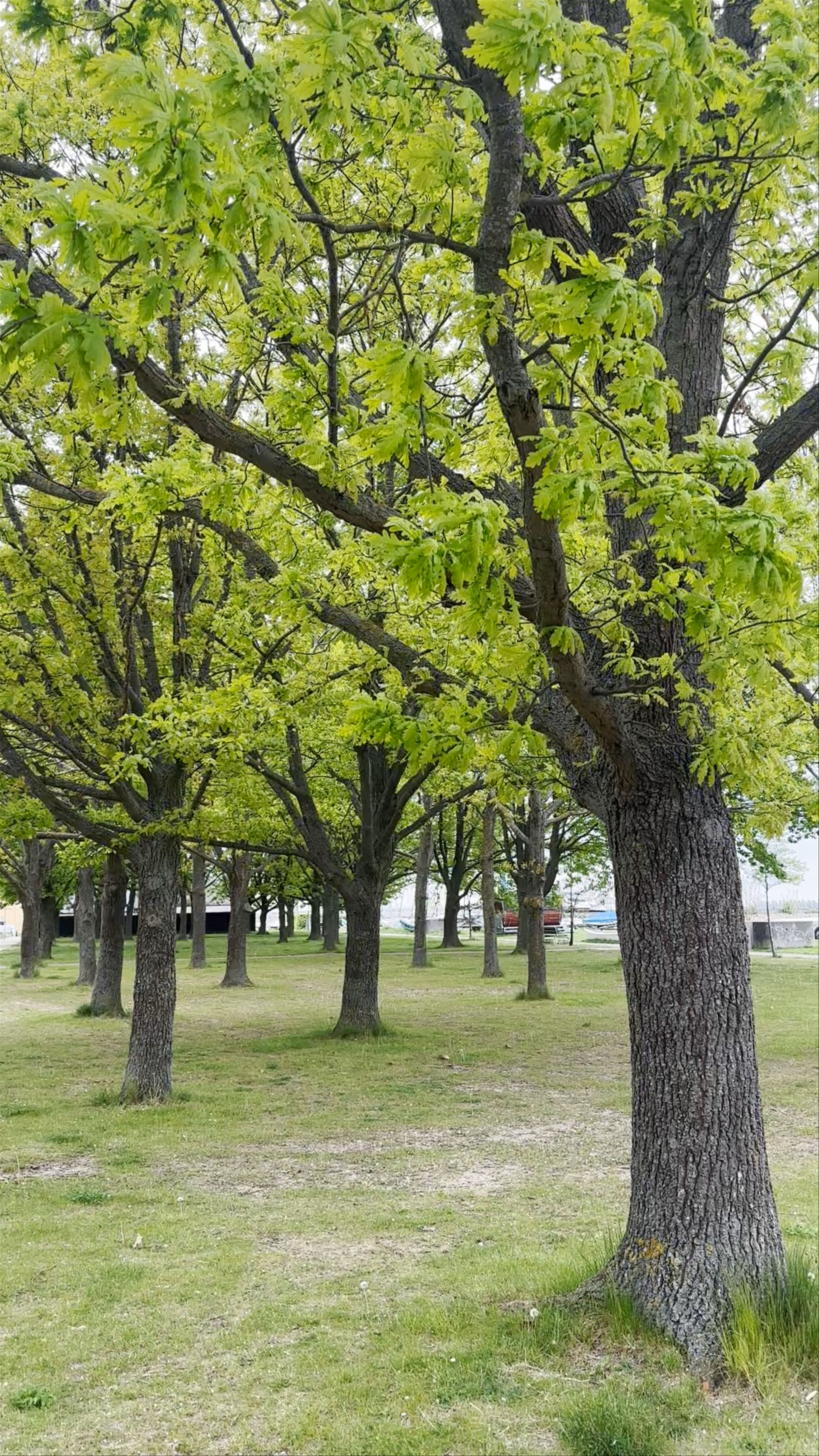 Kastrup Søbad (Kastrup Sea Bath)