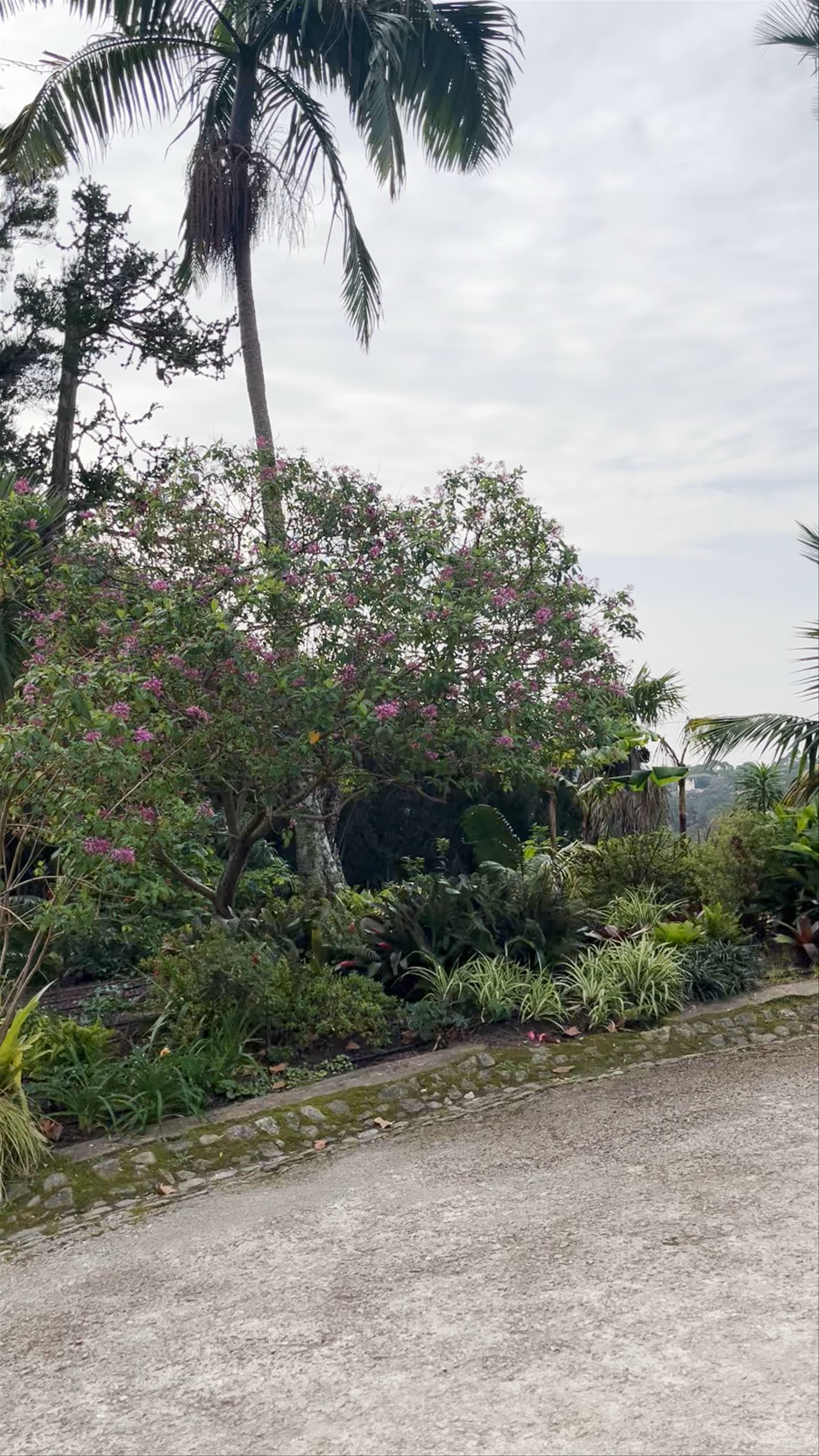Palácio de Monserrate