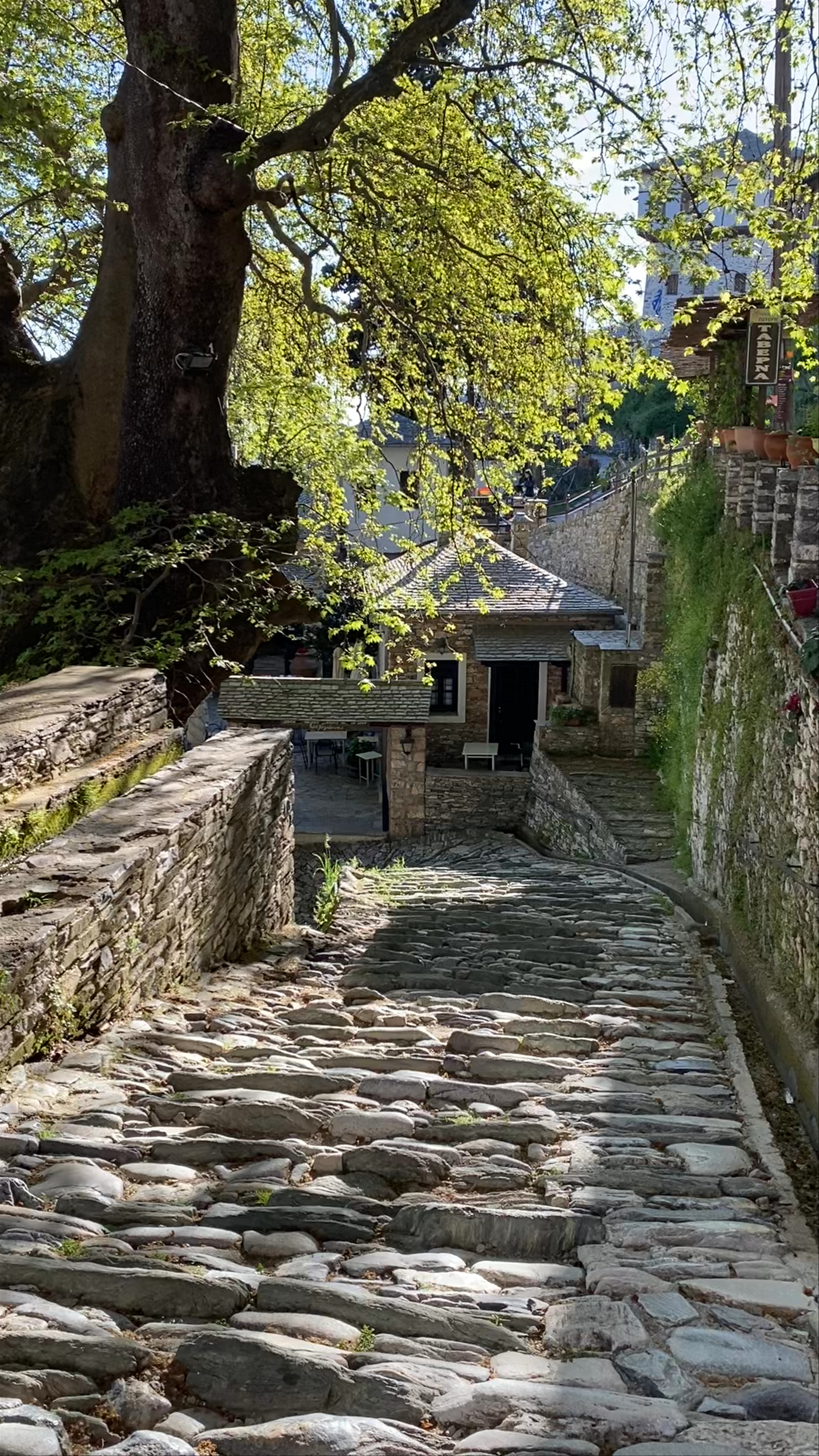 Holy Church of Saint John the Forerunner at Makrinitsa