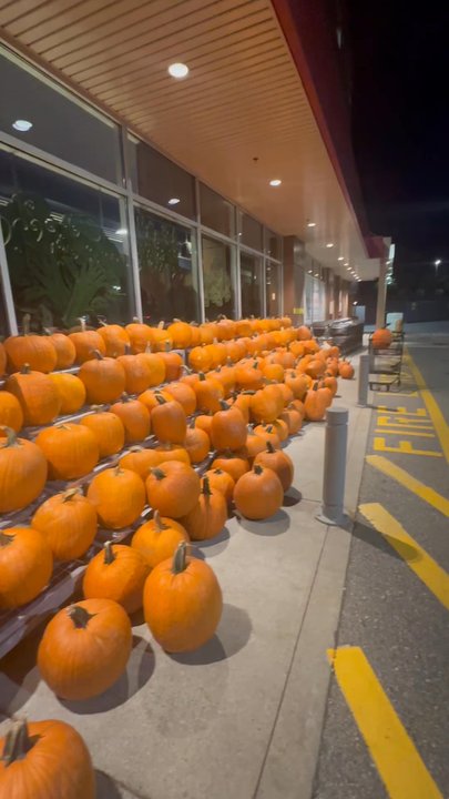 Wegmans - Pumpkind - Grocery Near Me - Chestnut Hill, Massachusetts