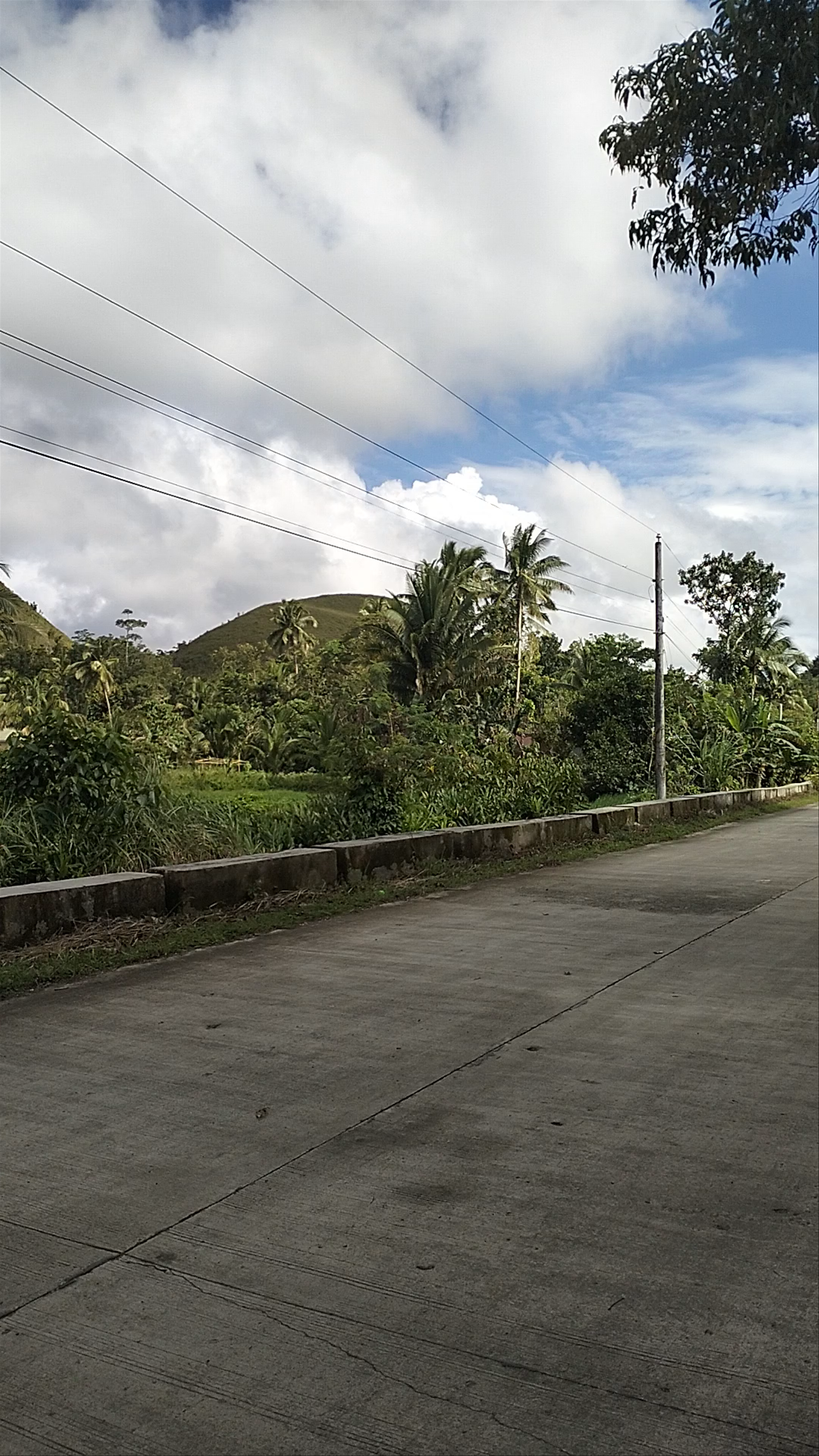 Chocolate Hills