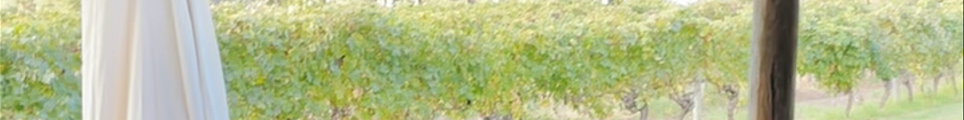 Tours & experiences in Busselton