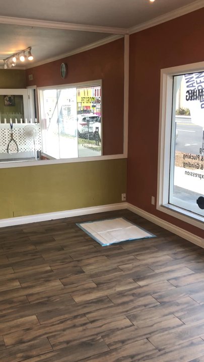 Luckys - Lovely Place! - Pet Groomers Near Me - Santa Monica, California