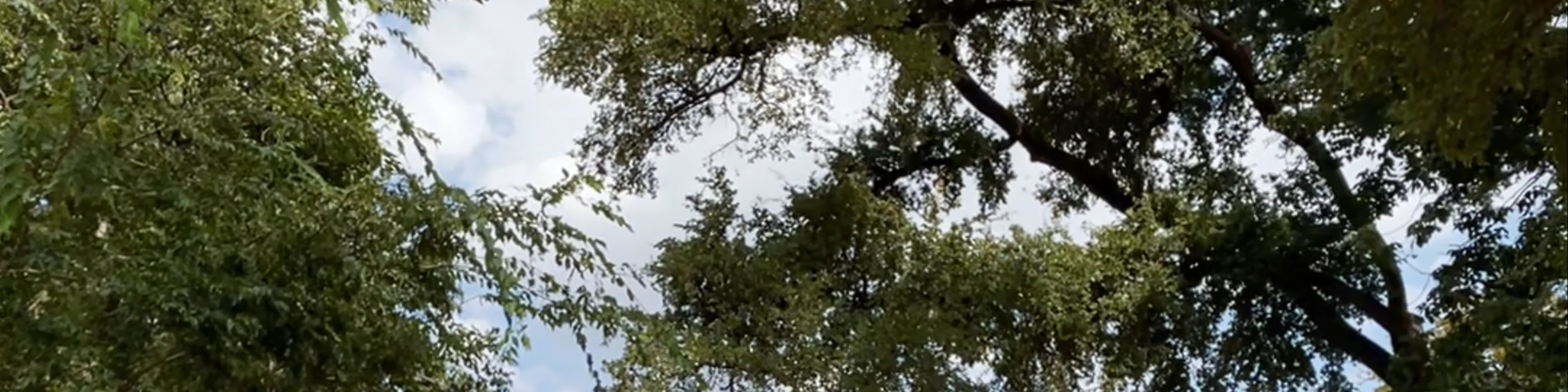 Spring Creek Nature Area