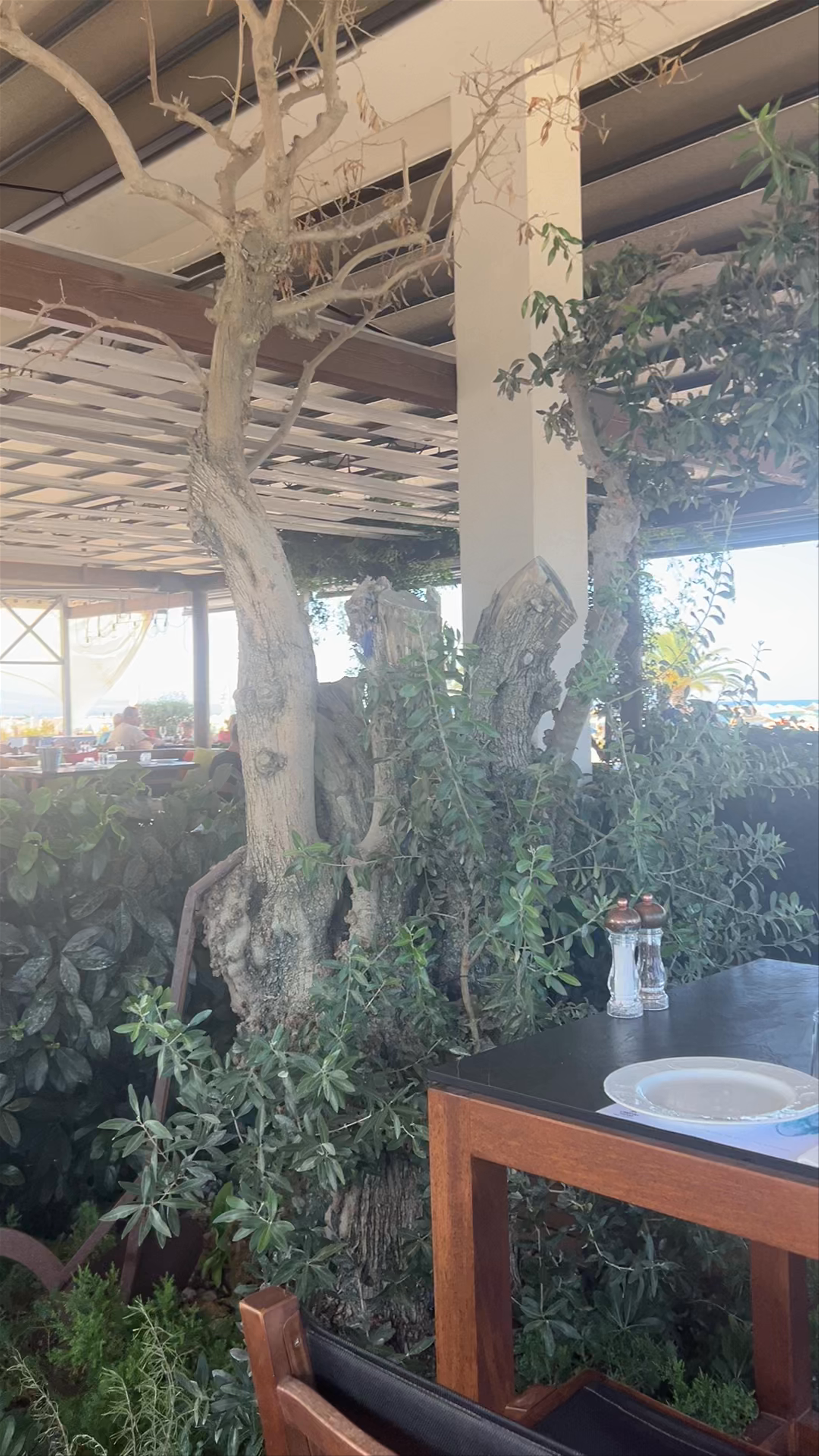 VERGINA PIZZA & FRESH PASTA: Coastal Dining Delight in Nei Pori, Greece