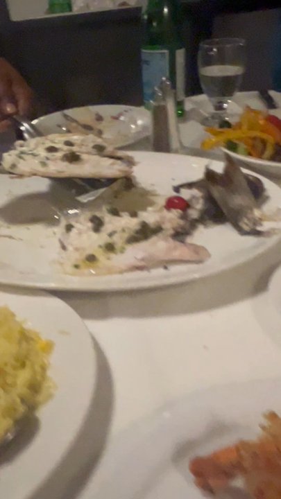 Faros - Mediterranean Sea Bream - Seafood Near Me - Montreal, Quebec