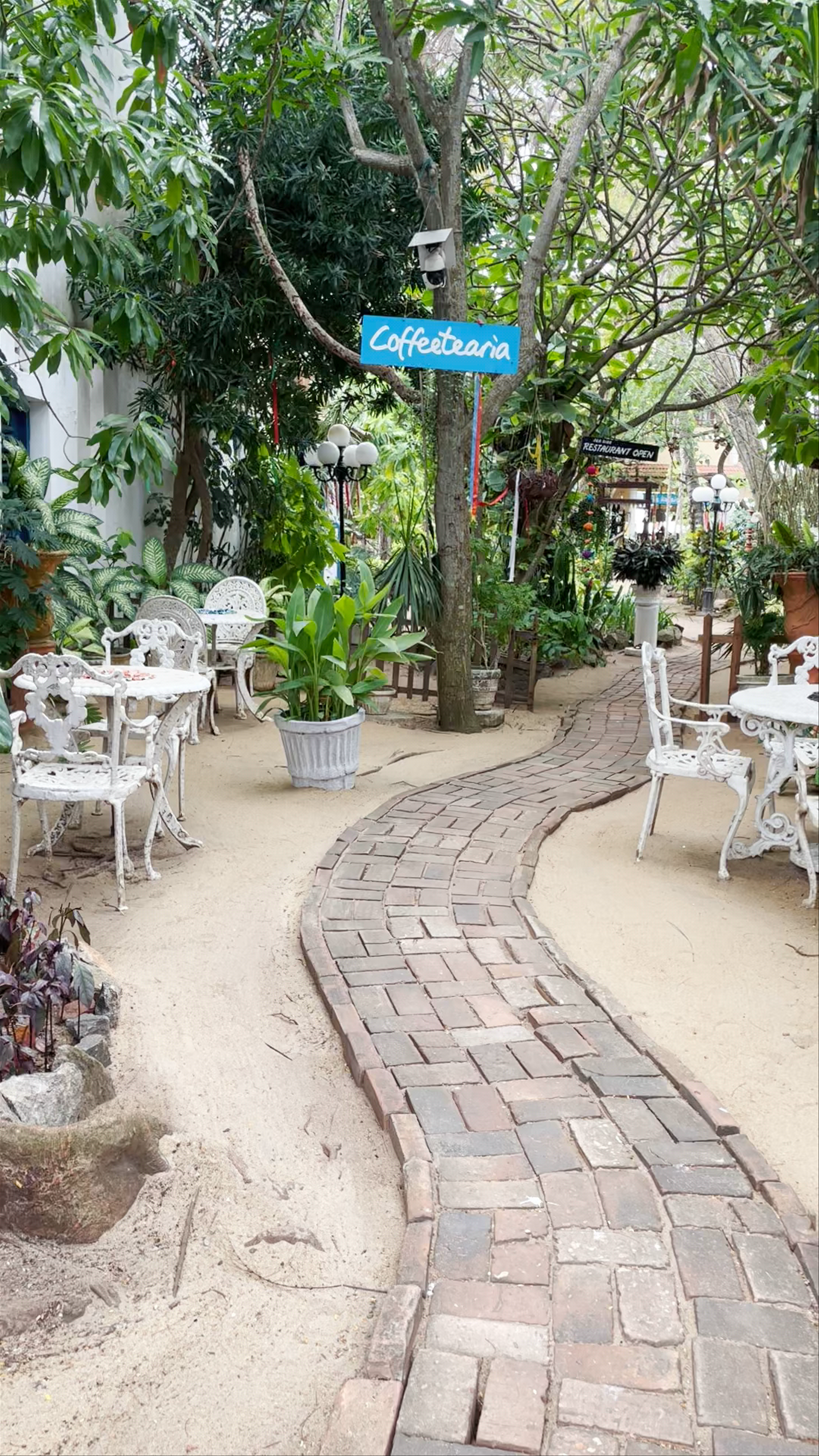 The Icebear Guesthouse Garden Café Experience in Negombo, Sri Lanka
