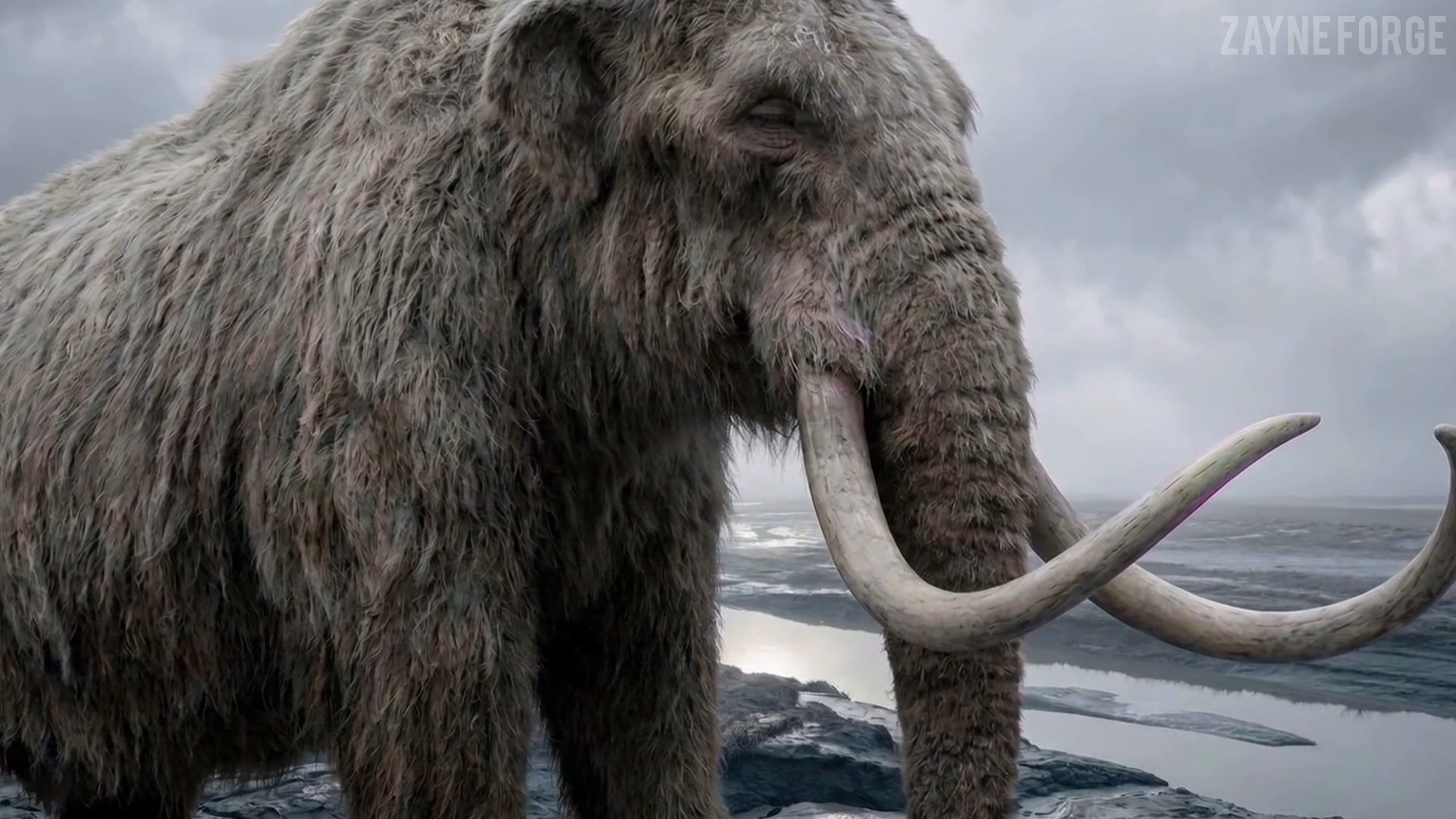 MEMEOD — The Last Mammoth