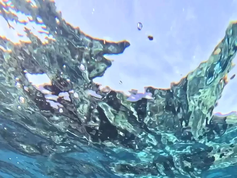 Island surf with Surf Ears