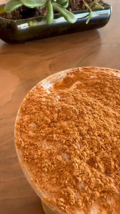 Menotti's Coffee Stop - Coffee & Tea Near Me - Los Angeles, California