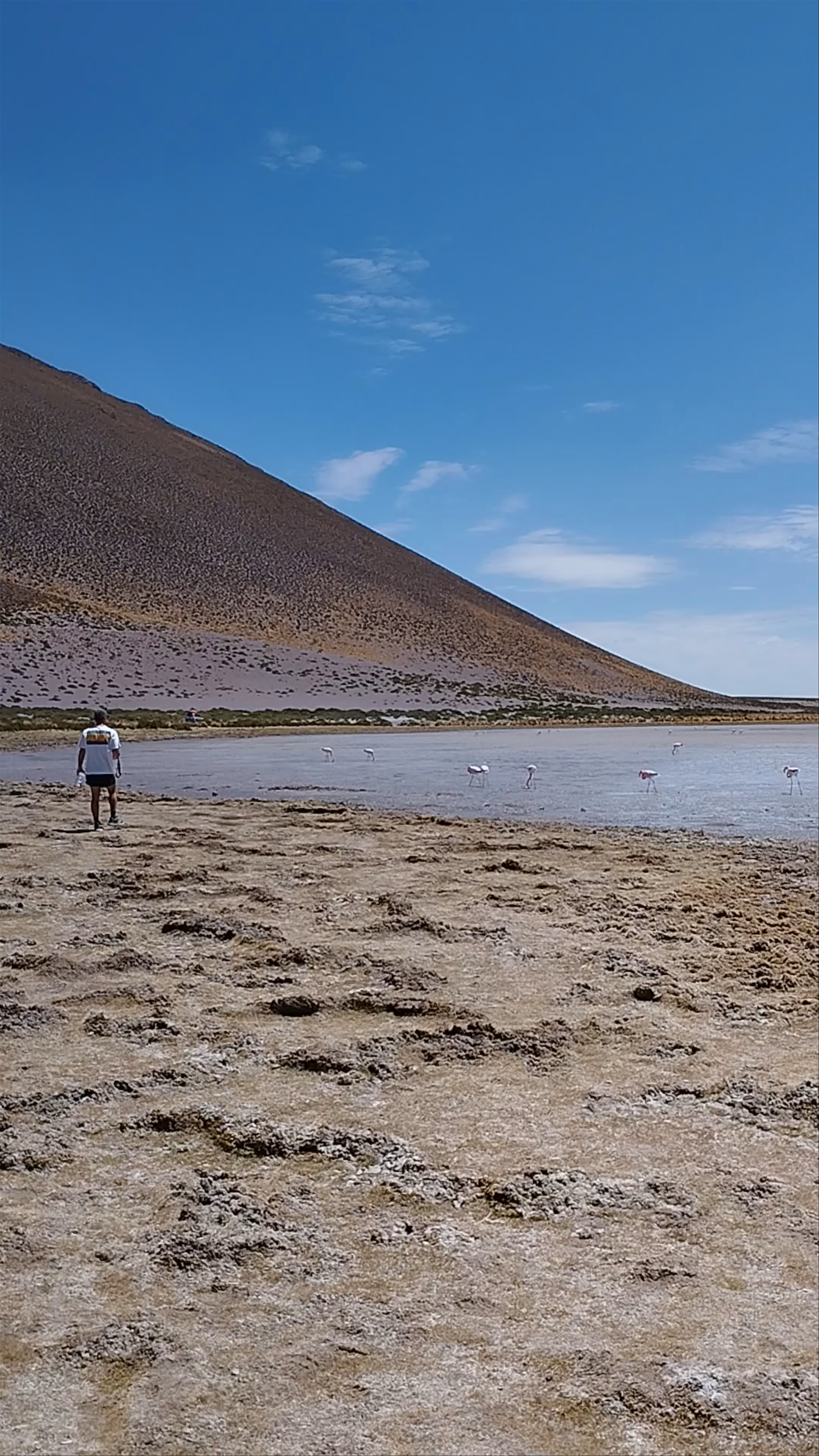 Mirador Laguna Capina: Serene High-Altitude Landscape in Aguas Calientes, Bolivia