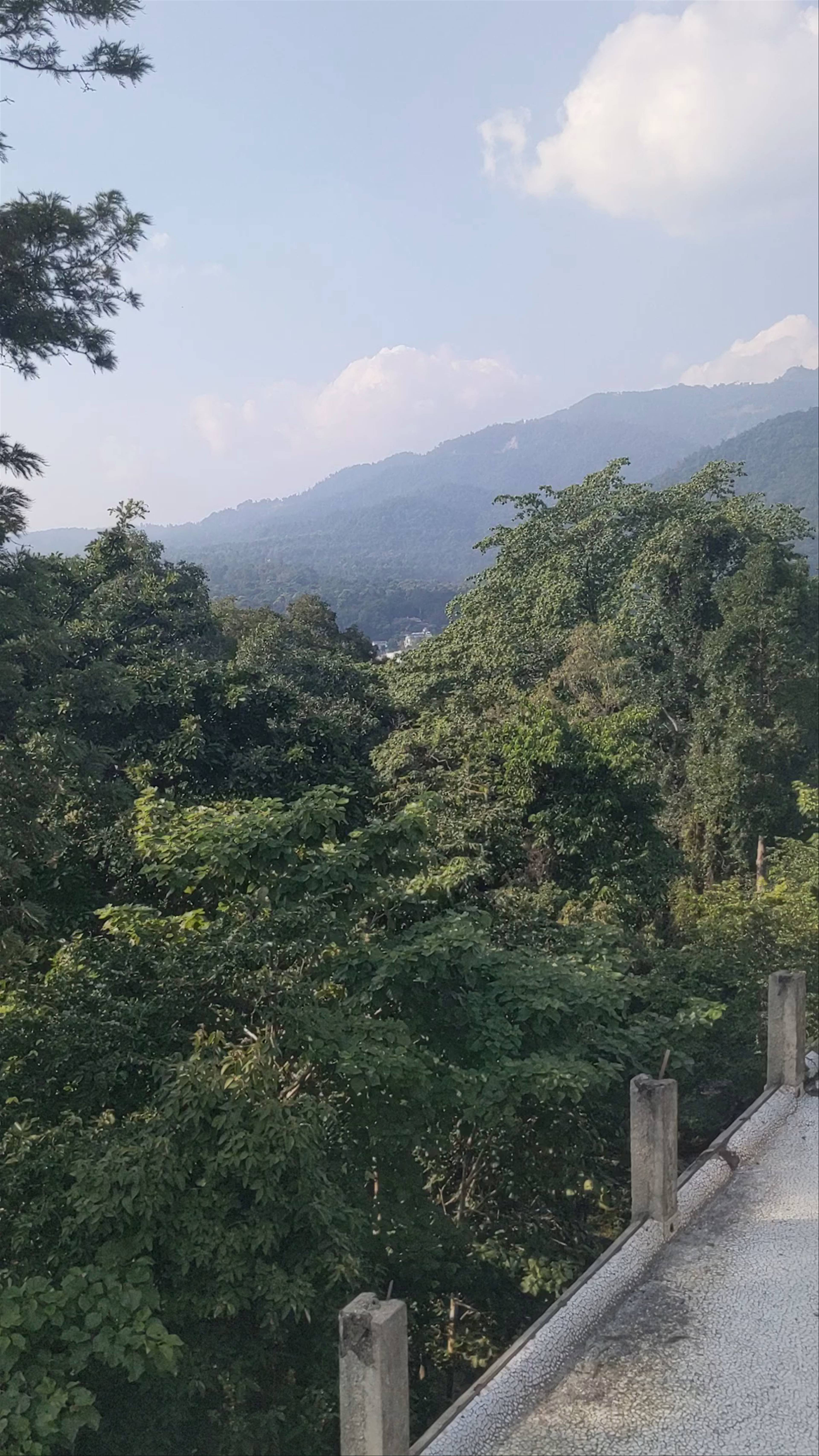 Beatles Ashram: Mystical Vibes Amidst Rishikesh Forests