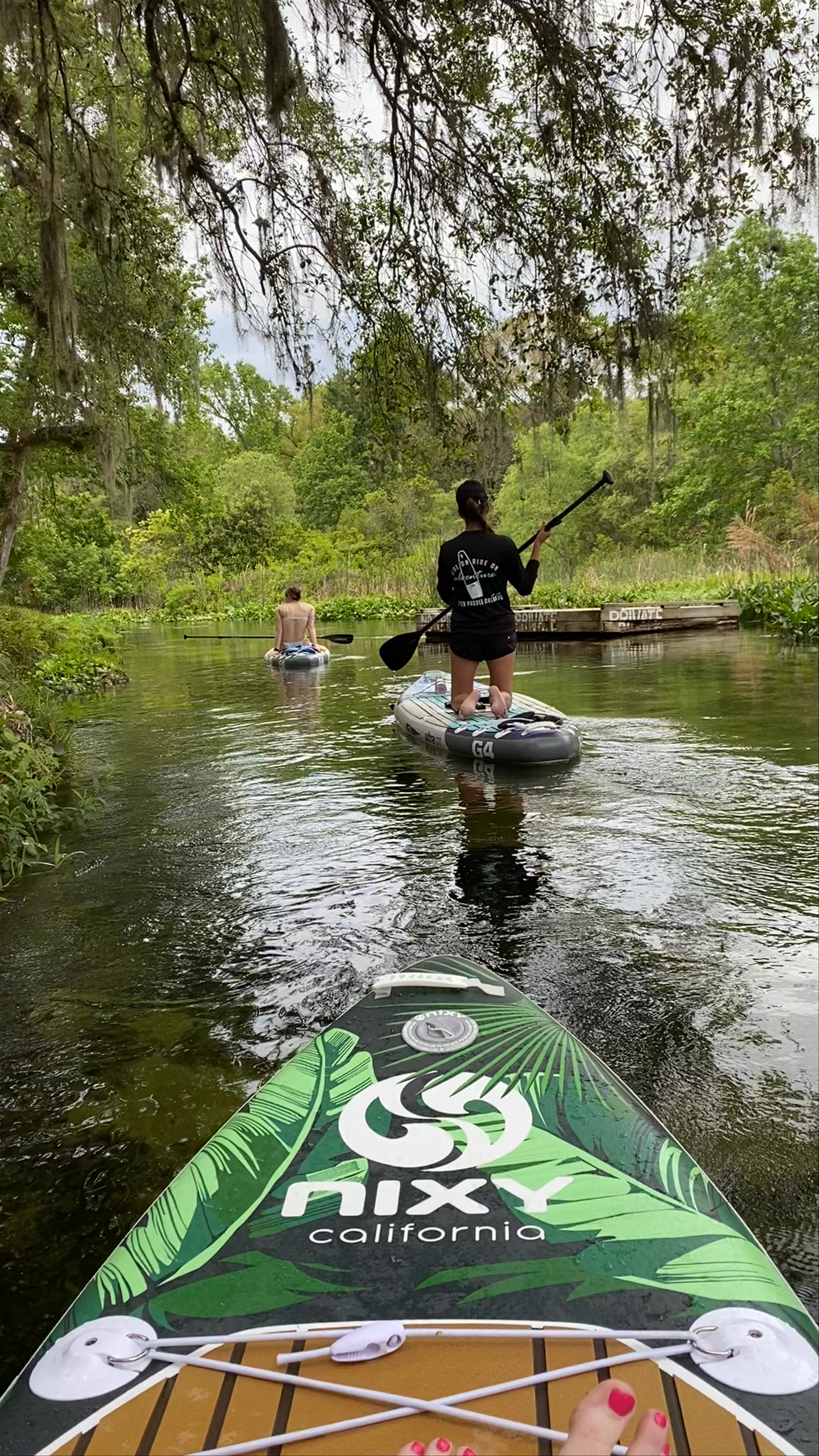 Serene Stand-Up Paddle Boarding on Florida's Lush Waterways