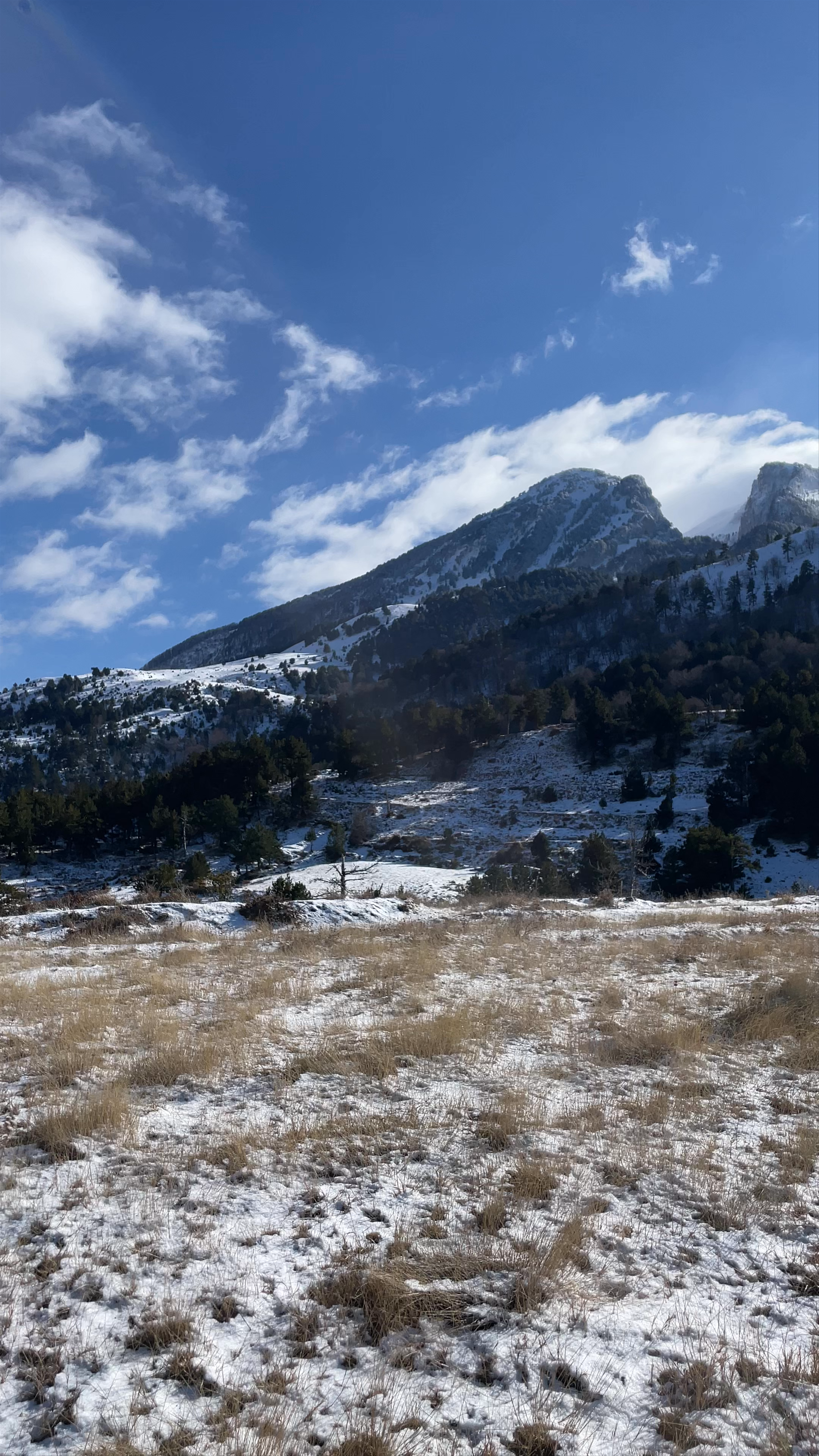Parku Kombëtar "Mali i Tomorrit"