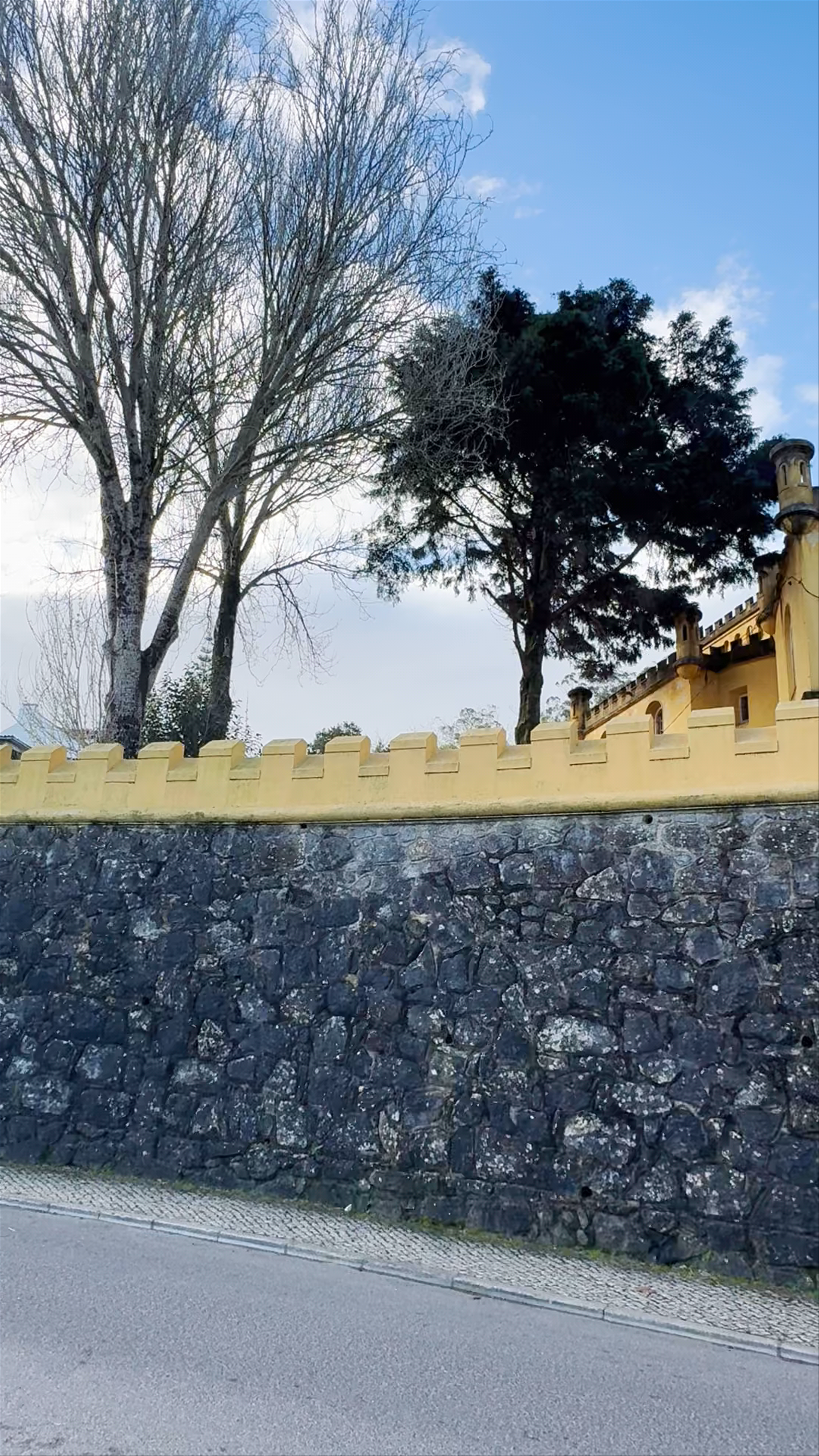 Associação dos Escoteiros de Portugal - Grupo 93