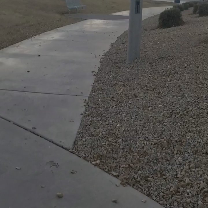 Goodyear Community Park - Dog Parks Near Me - Goodyear, Arizona