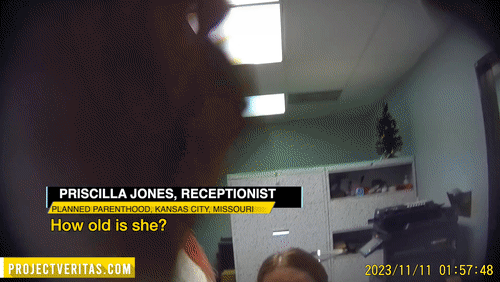 Video Thumbnail Loop