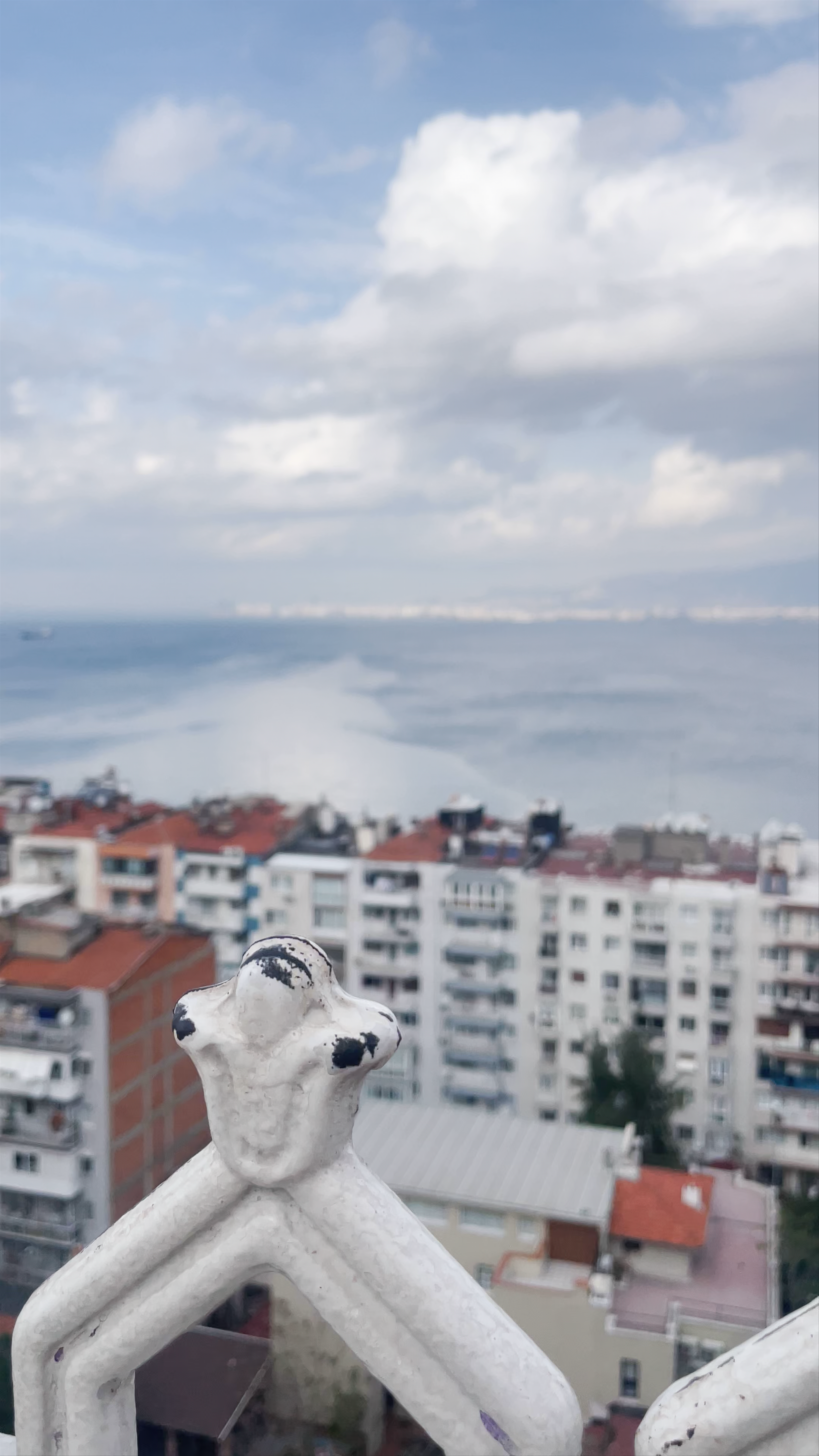 Turgut Reis