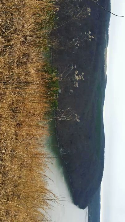 Pinnacle Overlook - Parks Near Me - Holtwood, Pennsylvania