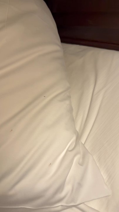 Bahia Resort Hotel - San Diego, CA