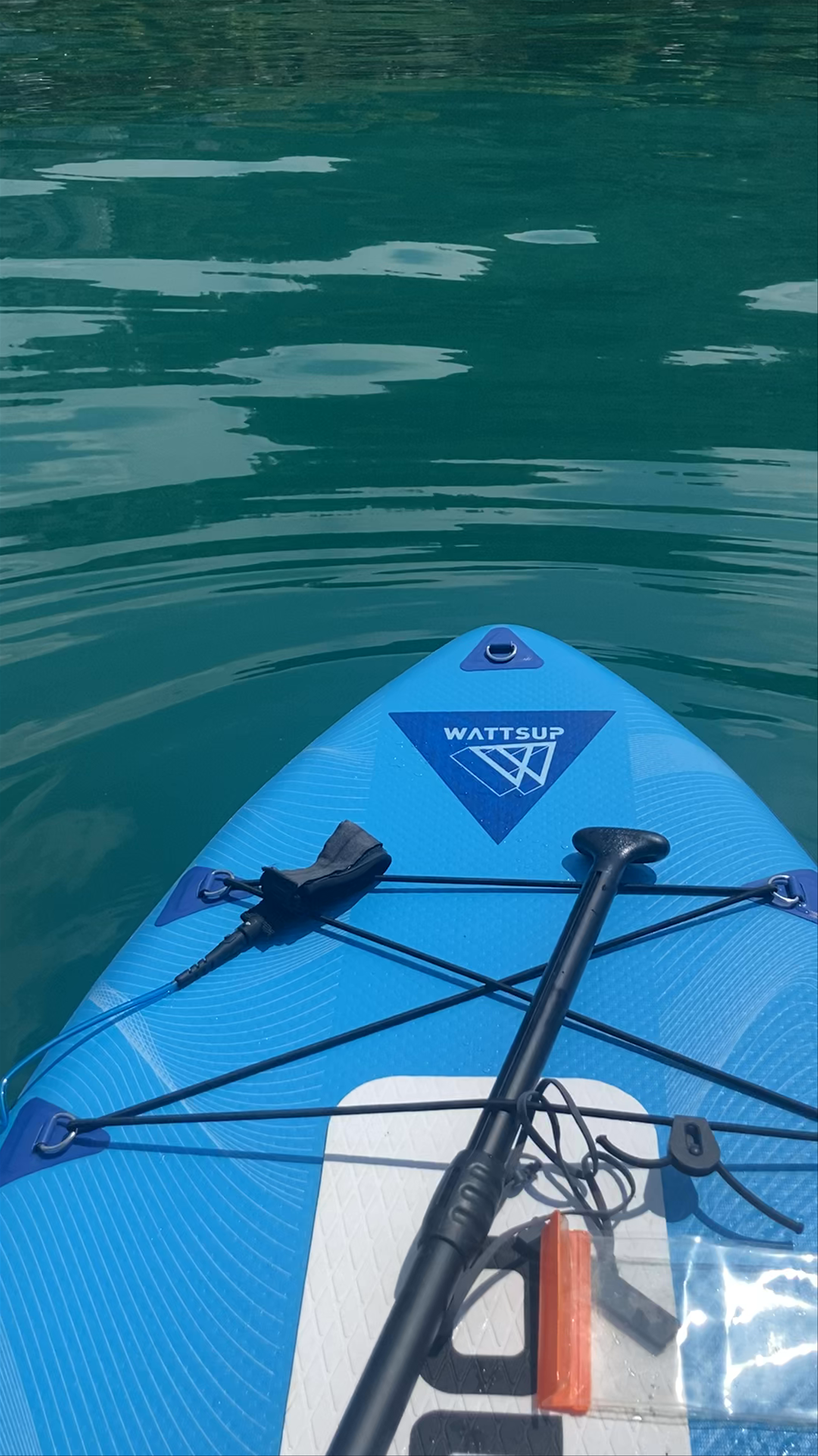 Le Palace De Menthon