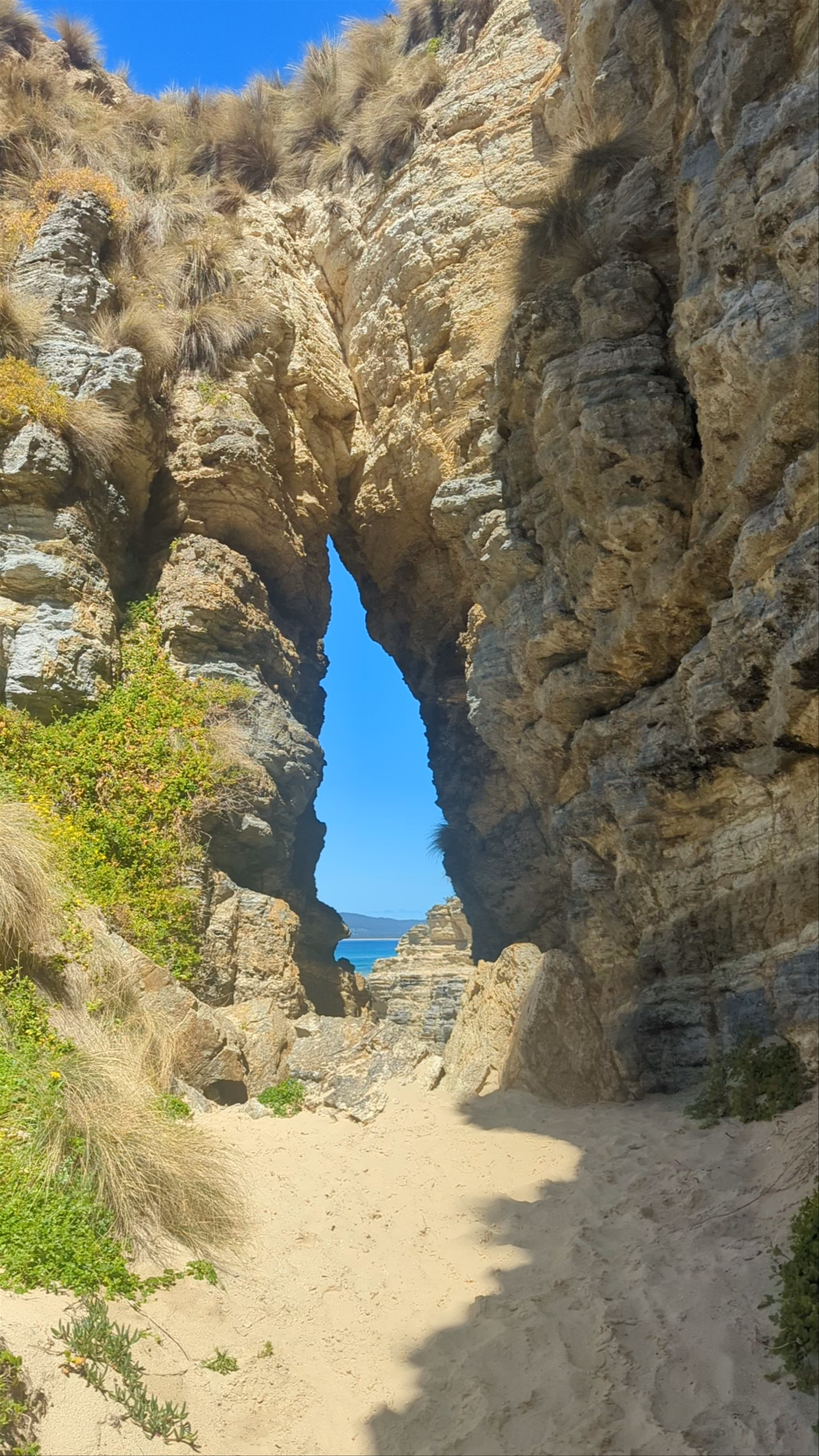 Cape Queen Elizabeth Track Trail Head