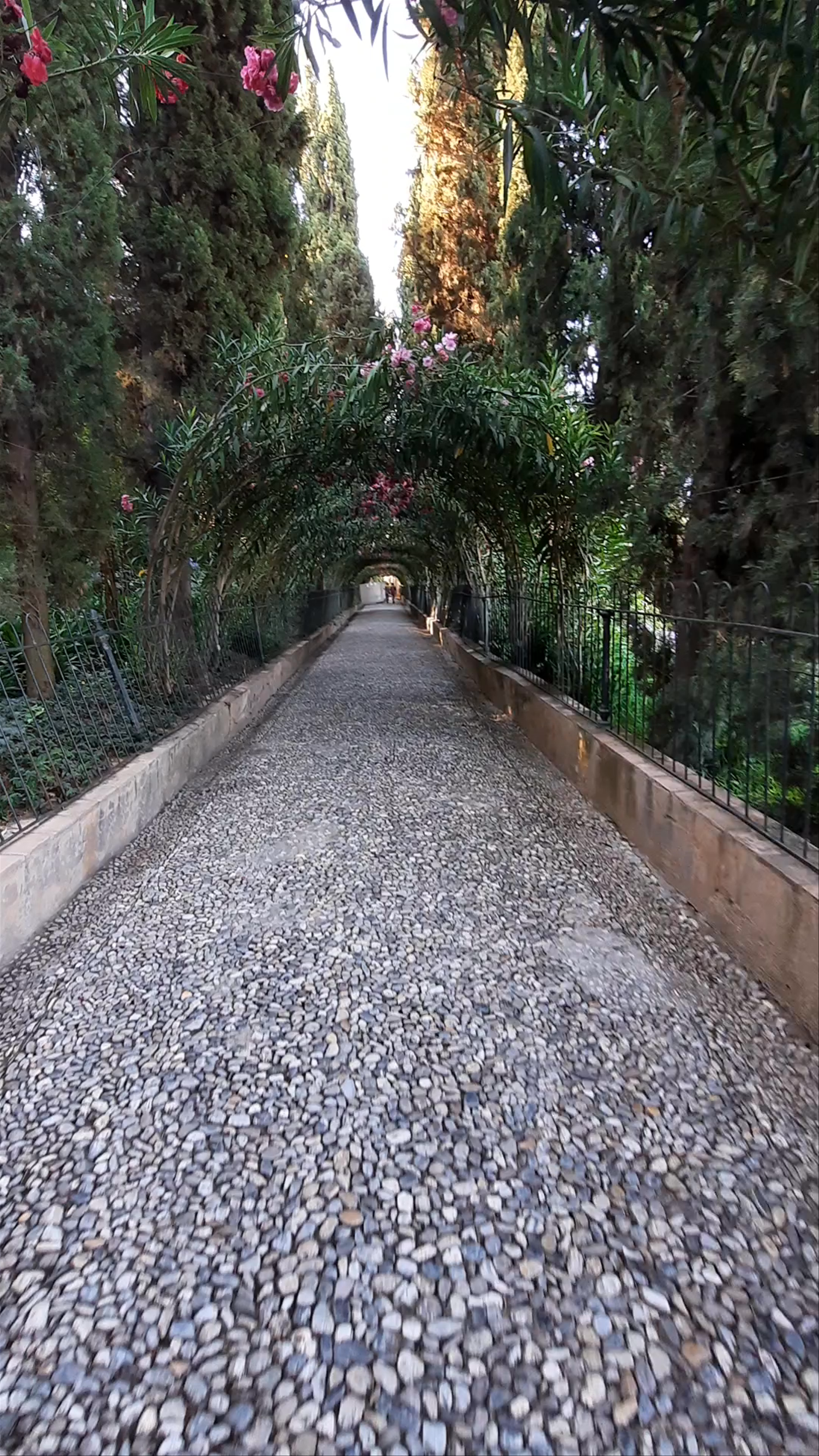 Serene Garden Pathway in Alhambra, Granada