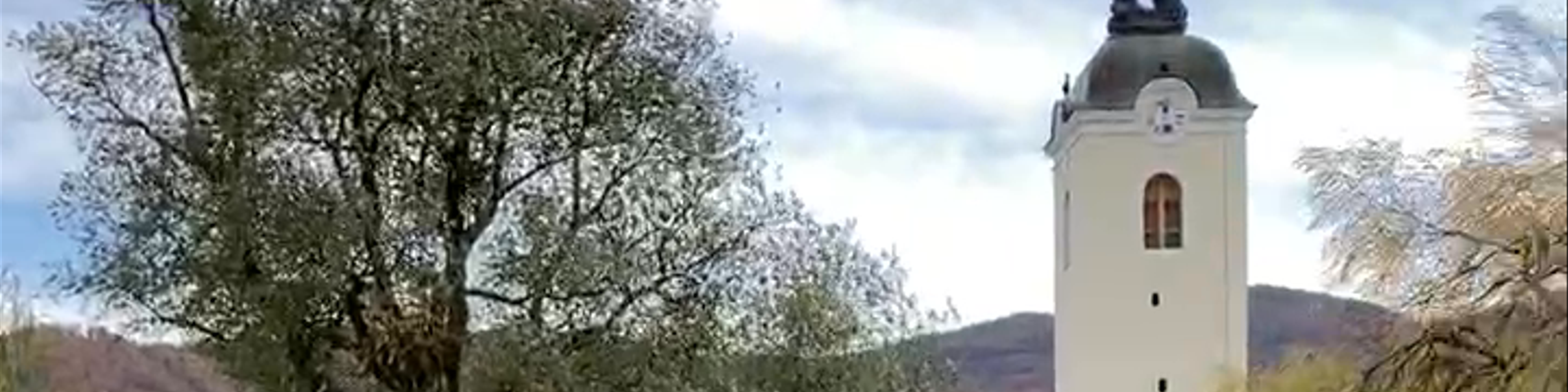 Spodnjeposavska