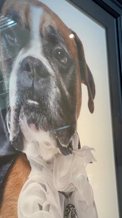 The Dixon - Love the dog photos - Hotels Near Me - London, XGL