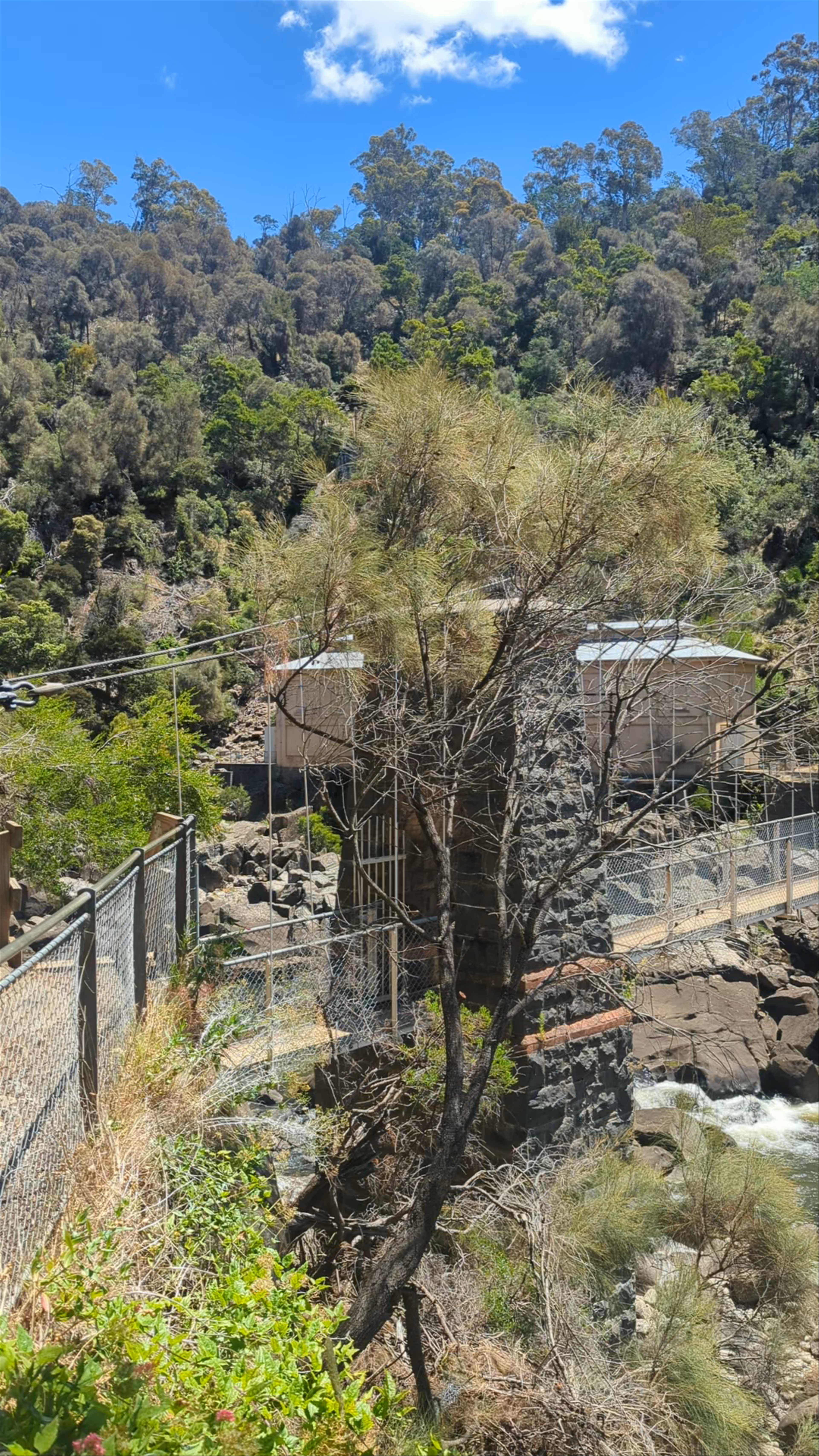Duck Reach Track Suspension Bridge