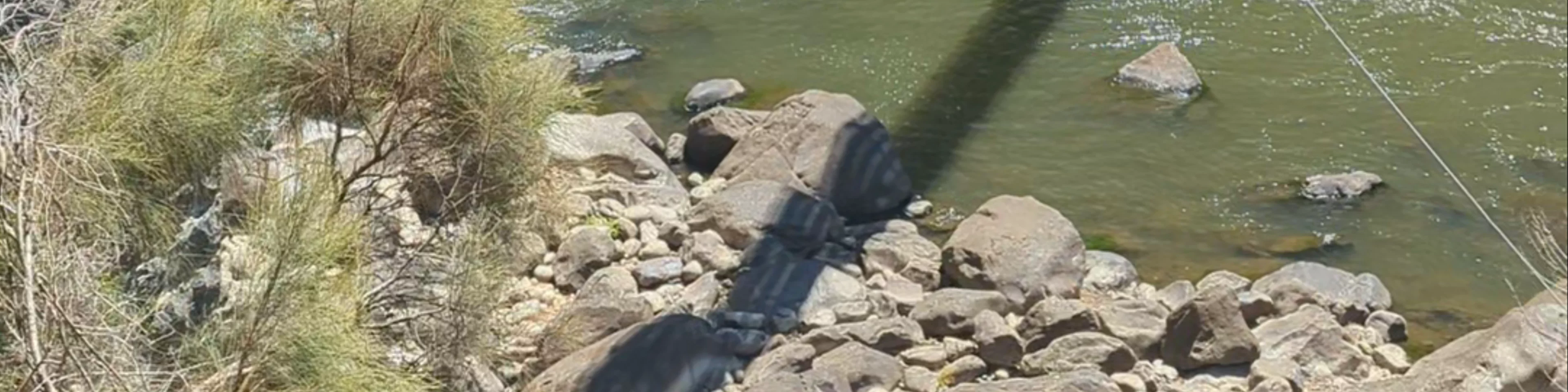 Duck Reach Track Suspension Bridge