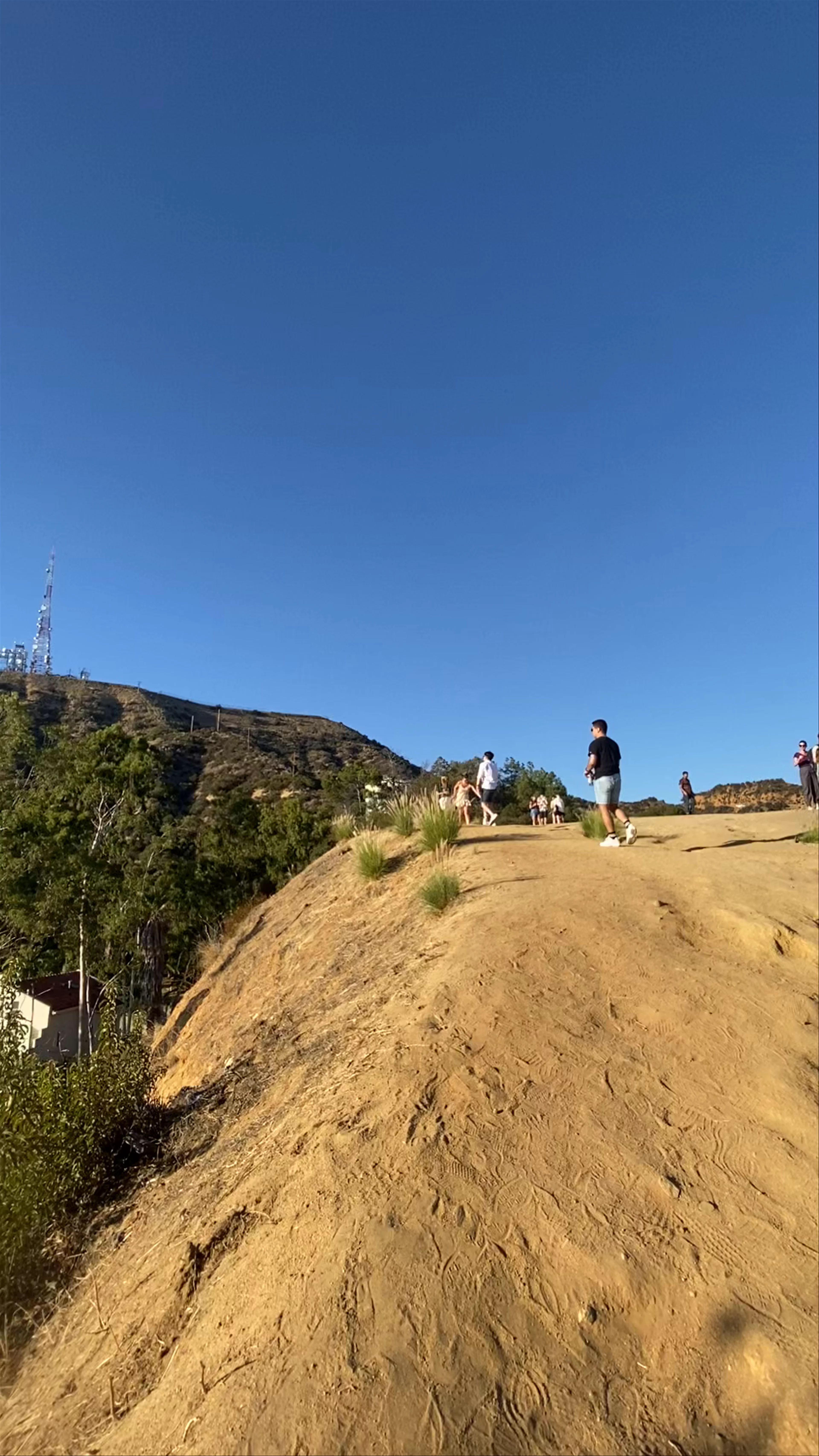 The Last House on Mulholland