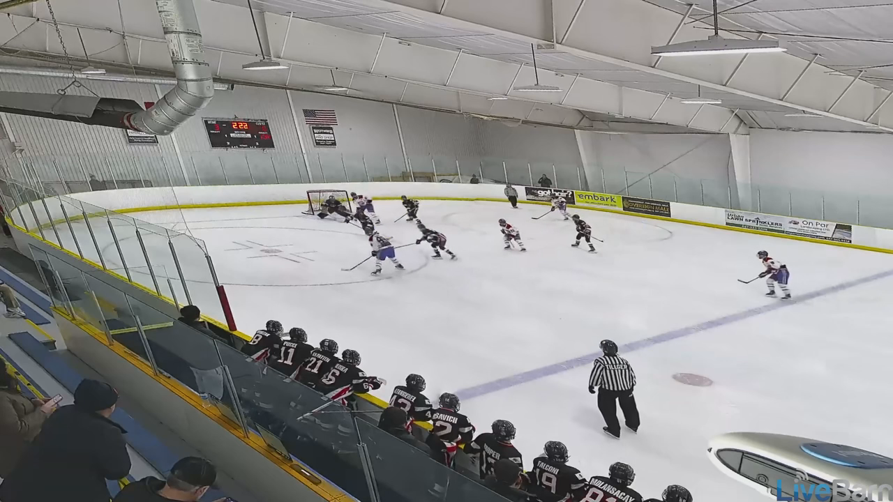 Gavin Perkovich: Chicago Reapers 14U AAA Highlight Reel