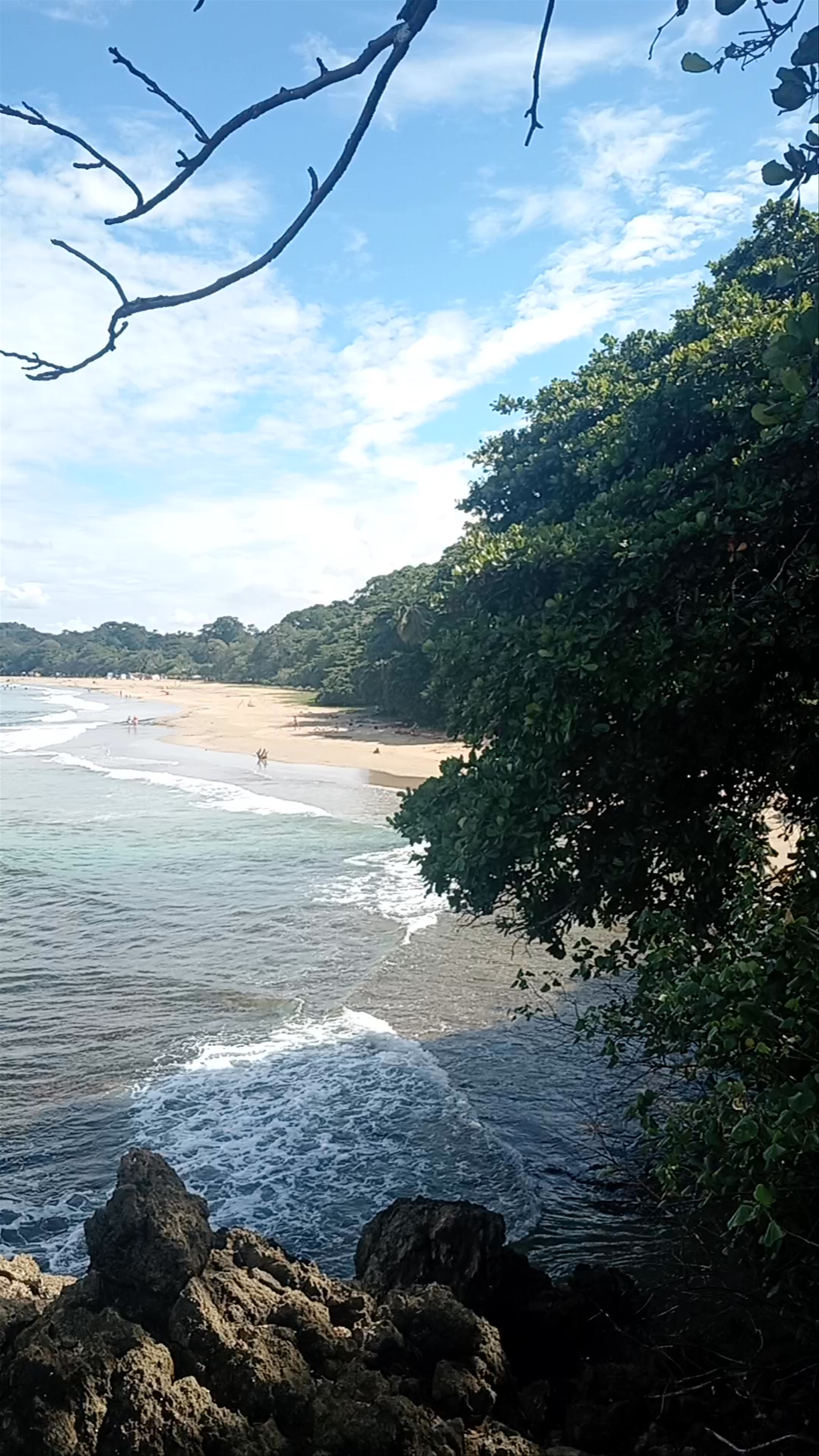Playa Cocles