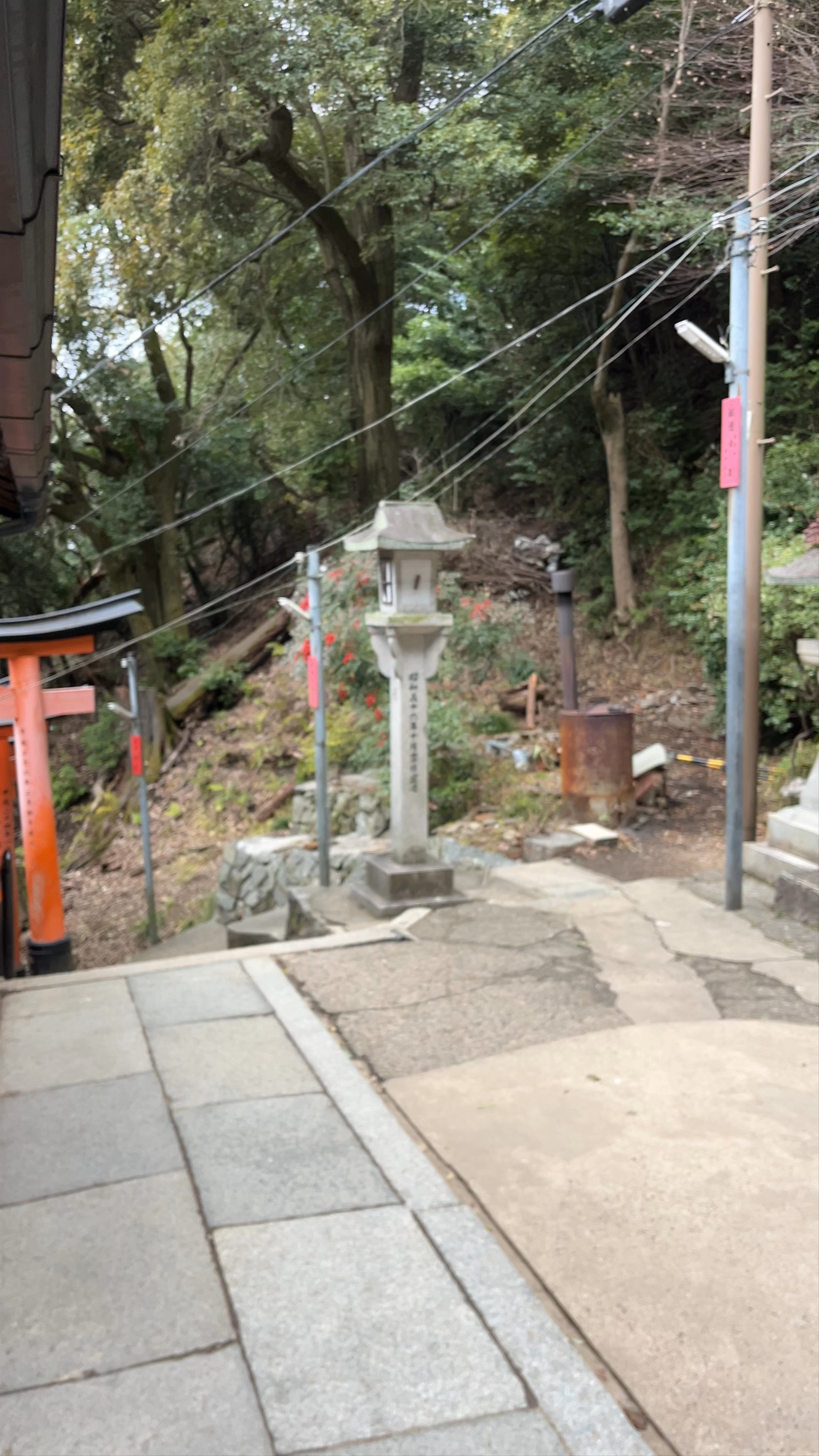 Serenity and Tradition at Fushimi Inari Yotsuji, Kyoto