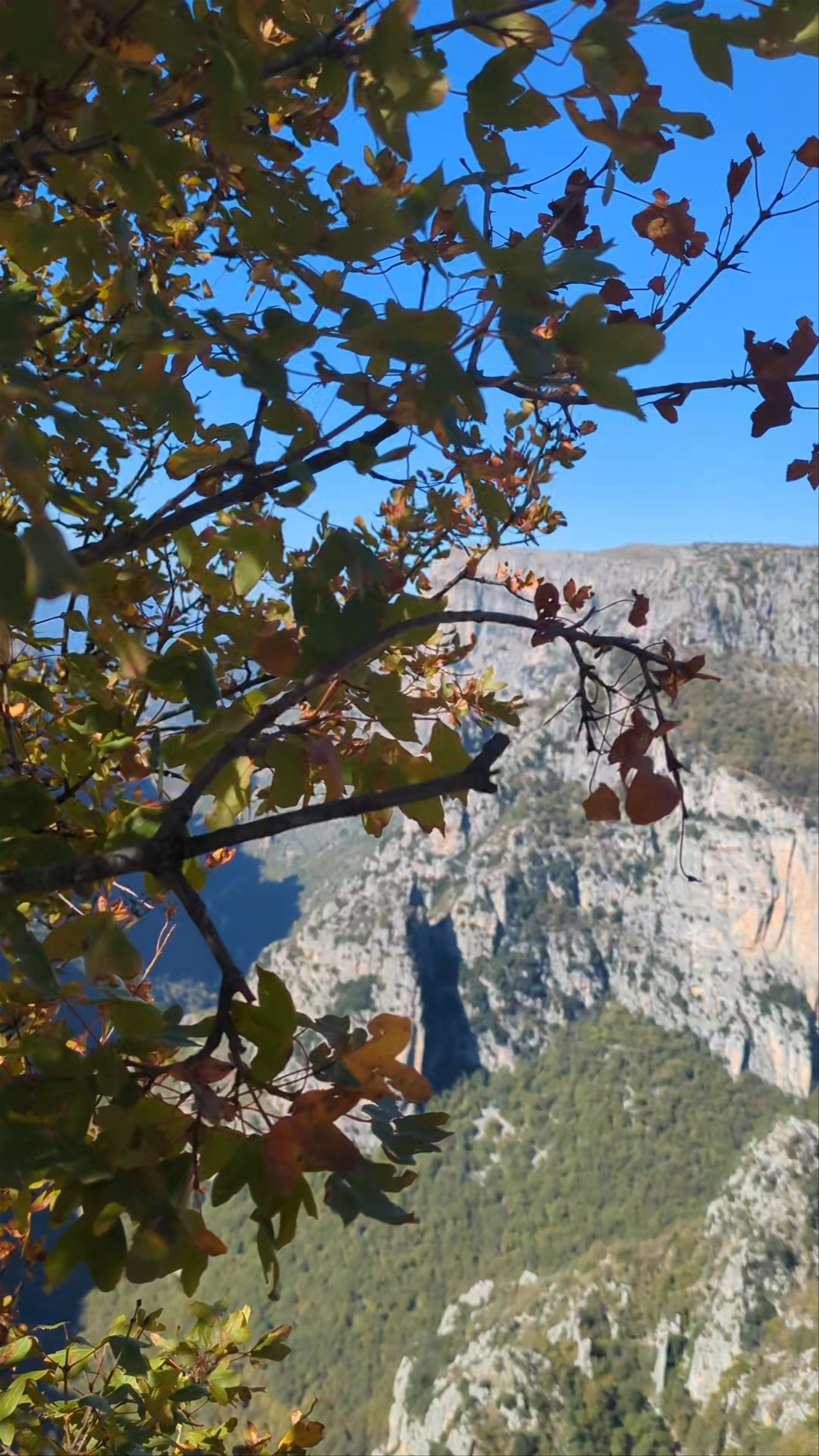 View Point Vikos Gorge