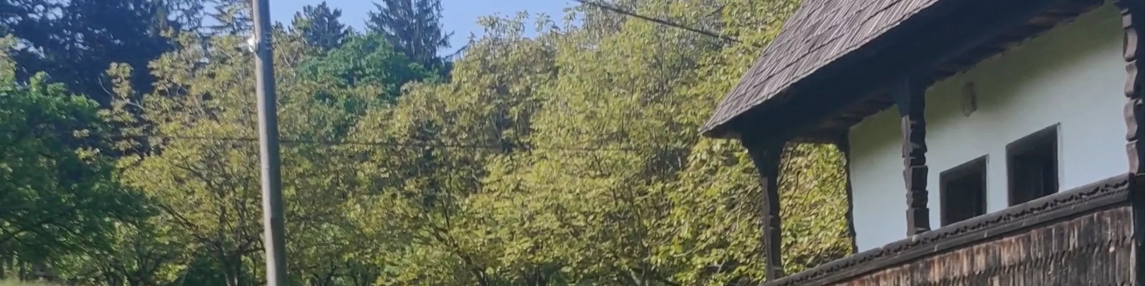 Parcul Etnografic Național „Romulus Vuia”