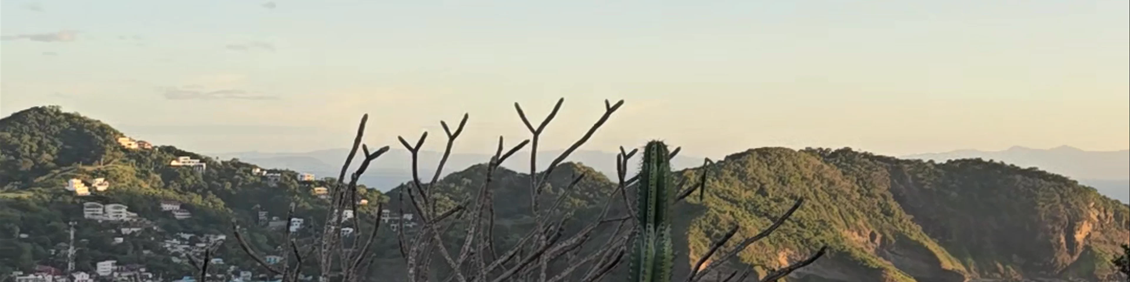 Cristo de La Misericordia